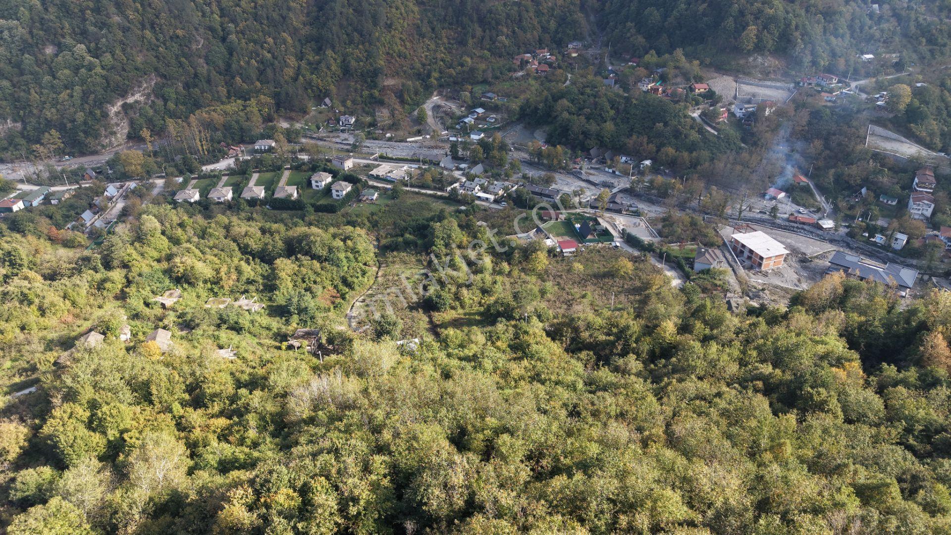 Sapanca Fevziyede Satılık 13.823 M2 Fındık Bahçesi — fotoğraf 19