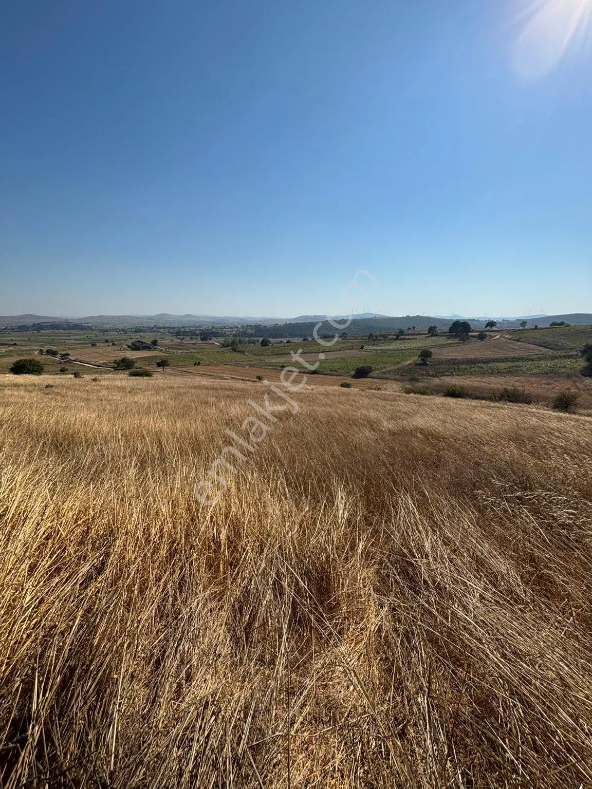Balcity-karesi Toybelen'de 4.450 M2 Resmi Yola Cephe Fırsat Yatırım — fotoğraf 7
