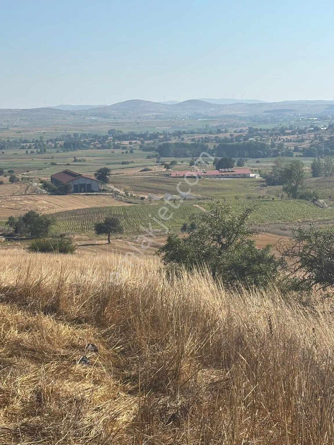 Balcity-karesi Toybelen'de 4.450 M2 Resmi Yola Cephe Fırsat Yatırım — fotoğraf 9