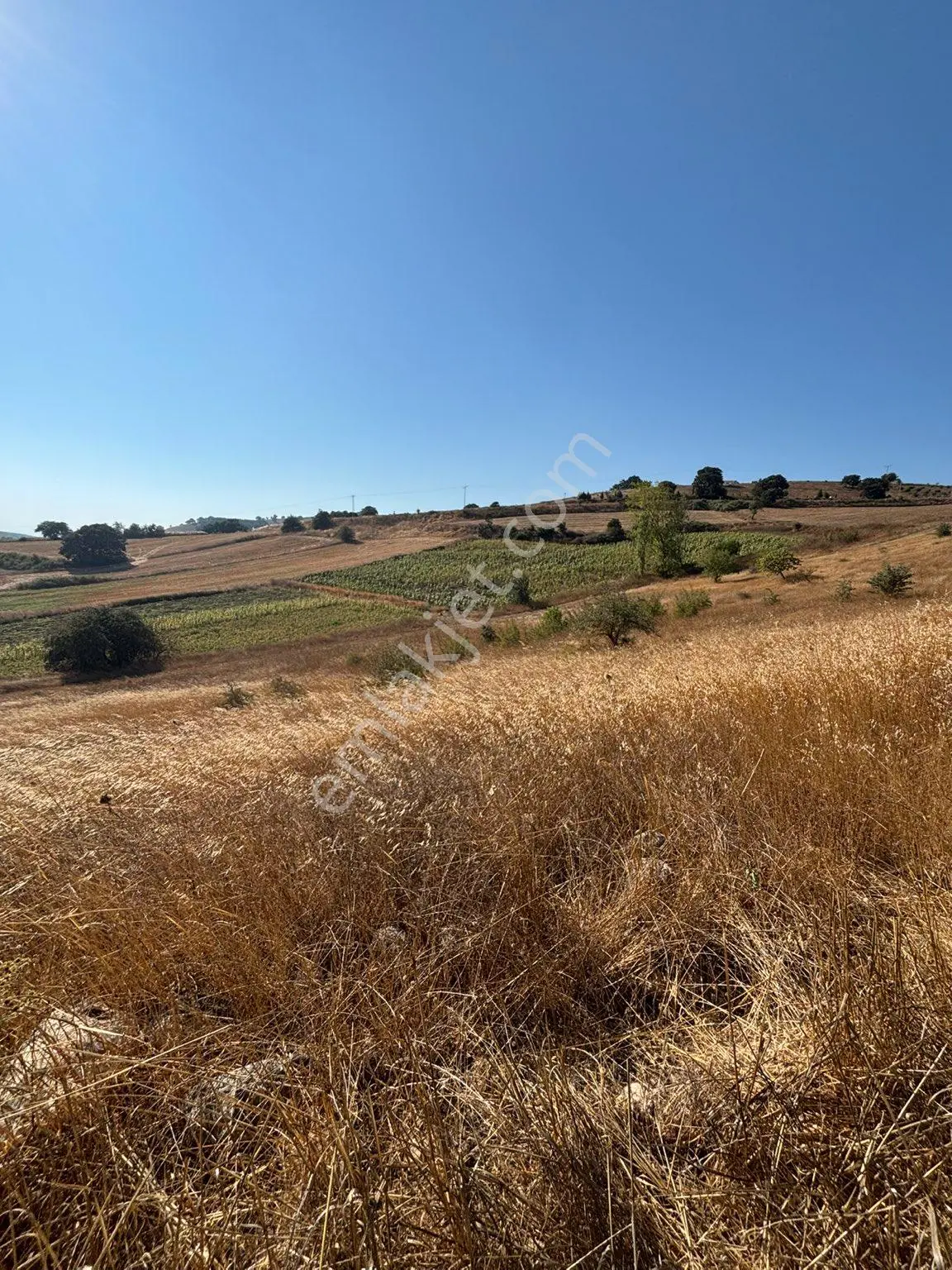 Balcity-karesi Toybelen'de 4.450 M2 Resmi Yola Cephe Fırsat Yatırım — fotoğraf 10