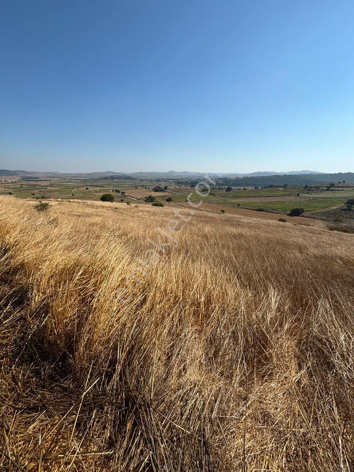 Balcity-karesi Toybelen'de 4.450 M2 Resmi Yola Cephe Fırsat Yatırım — fotoğraf 13
