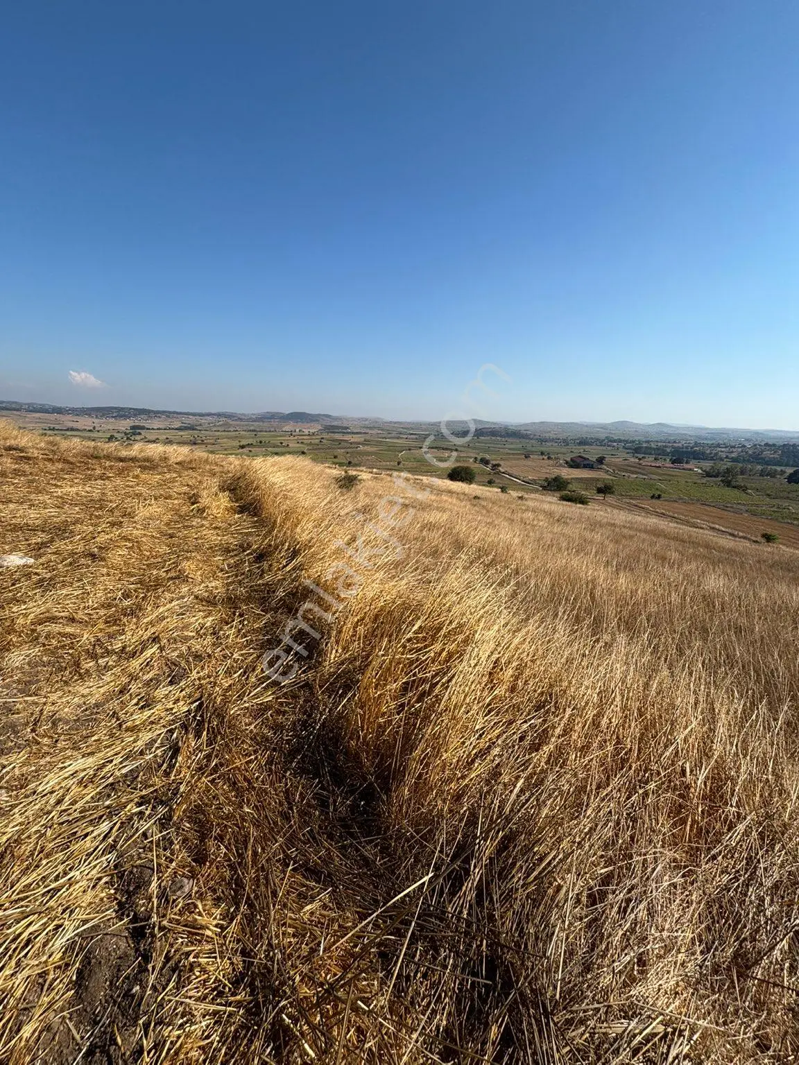 Balcity-karesi Toybelen'de 4.450 M2 Resmi Yola Cephe Fırsat Yatırım — fotoğraf 15