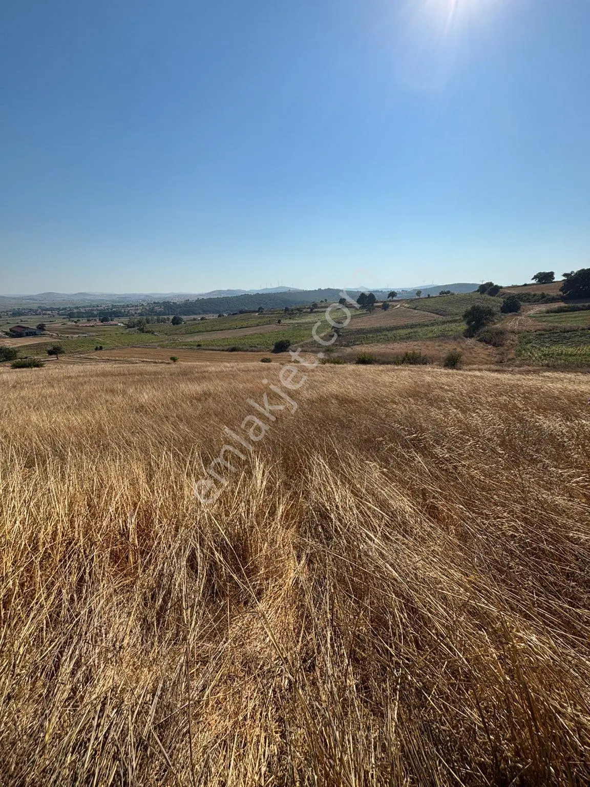 Balcity-karesi Toybelen'de 4.450 M2 Resmi Yola Cephe Fırsat Yatırım — fotoğraf 16