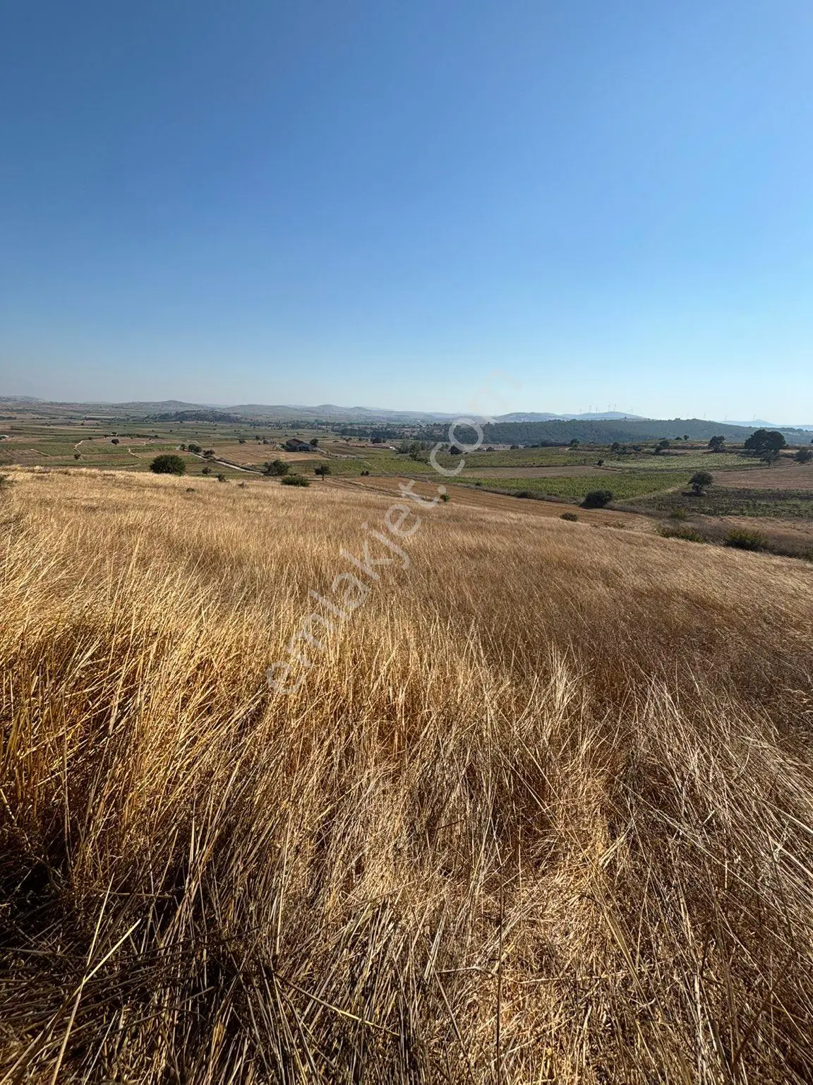 Balcity-karesi Toybelen'de 4.450 M2 Resmi Yola Cephe Fırsat Yatırım — fotoğraf 17