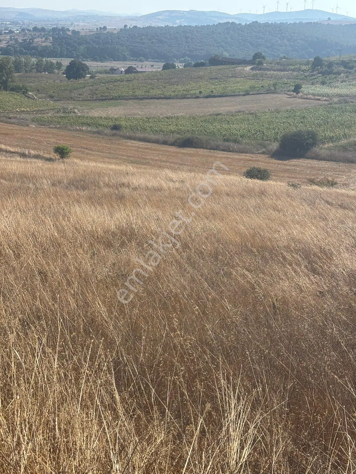 Balcity-karesi Toybelen'de 4.450 M2 Resmi Yola Cephe Fırsat Yatırım — fotoğraf 18