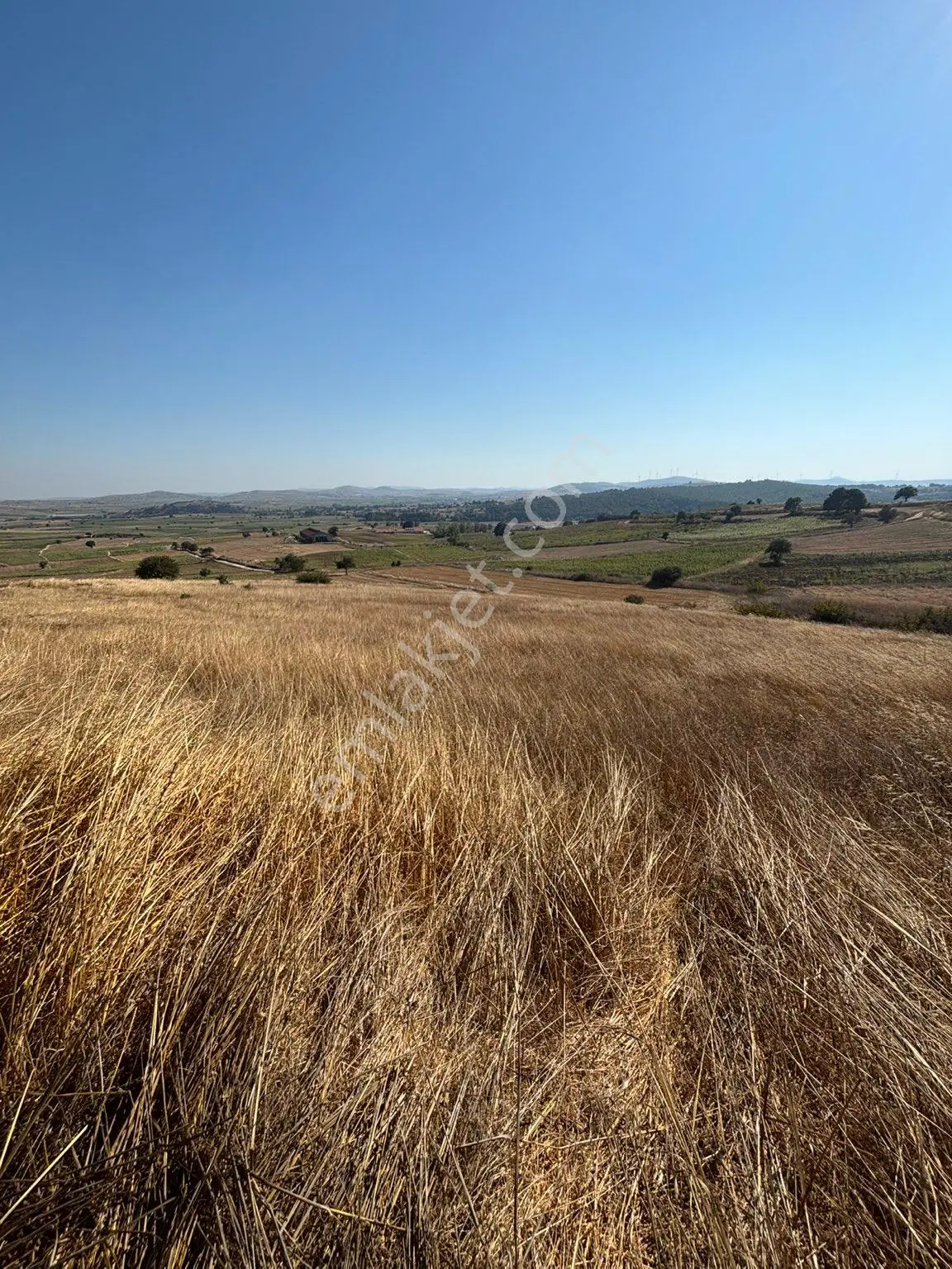 Balcity-karesi Toybelen'de 4.450 M2 Resmi Yola Cephe Fırsat Yatırım — fotoğraf 19