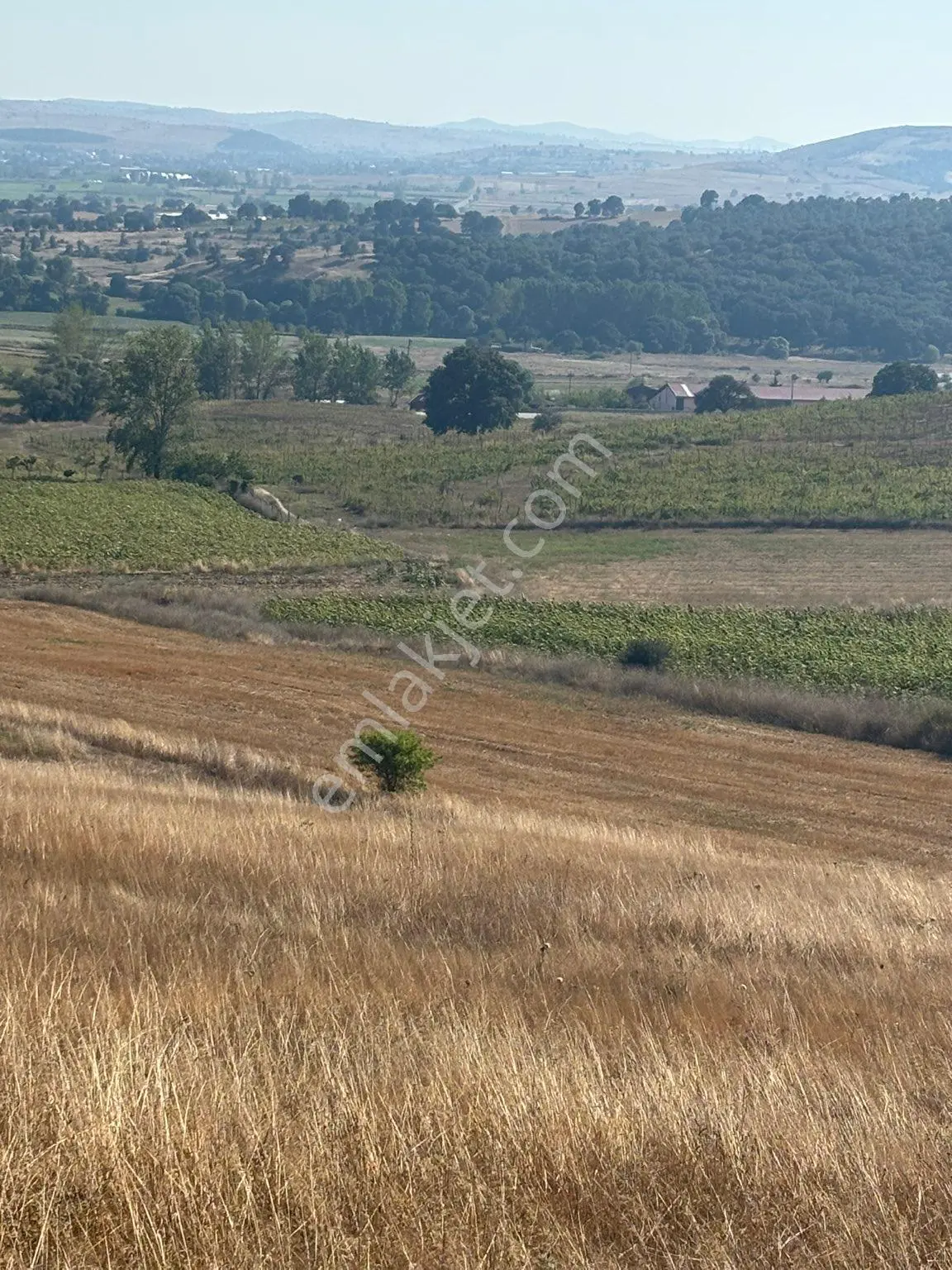 Balcity-karesi Toybelen'de 4.450 M2 Resmi Yola Cephe Fırsat Yatırım — fotoğraf 20