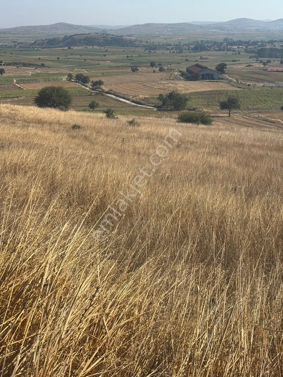 Balcity-karesi Toybelen'de 4.450 M2 Resmi Yola Cephe Fırsat Yatırım — fotoğraf 22