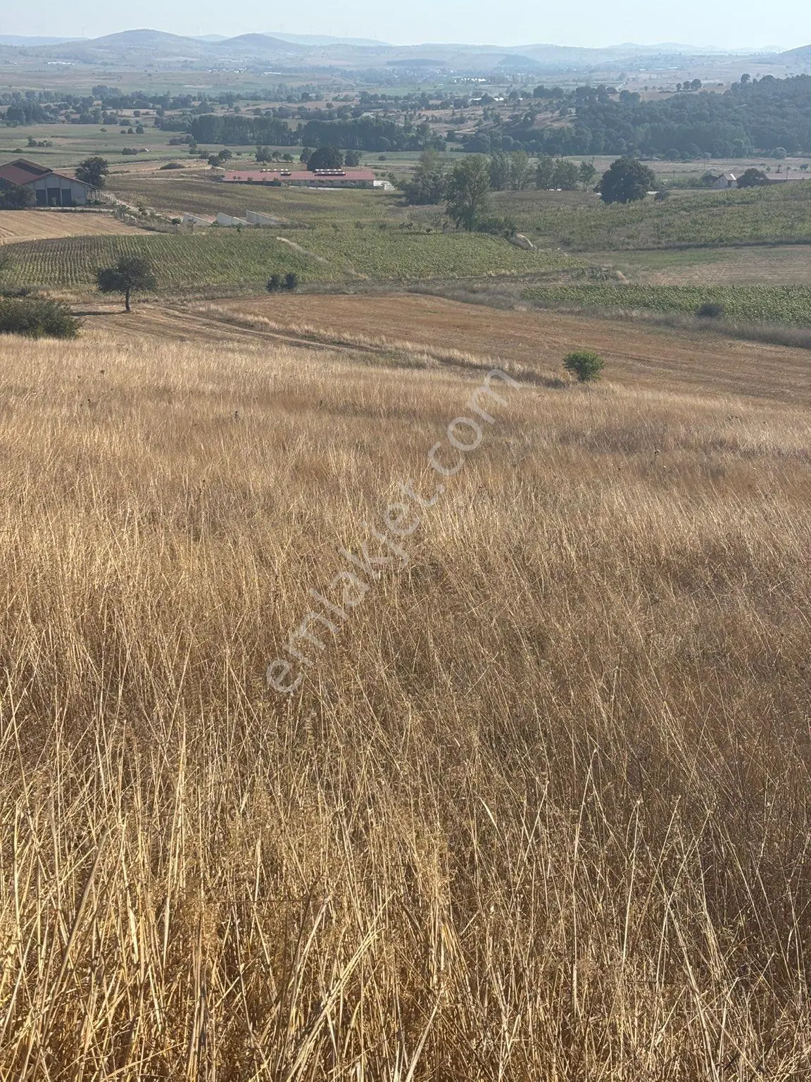 Balcity-karesi Toybelen'de 4.450 M2 Resmi Yola Cephe Fırsat Yatırım — fotoğraf 23