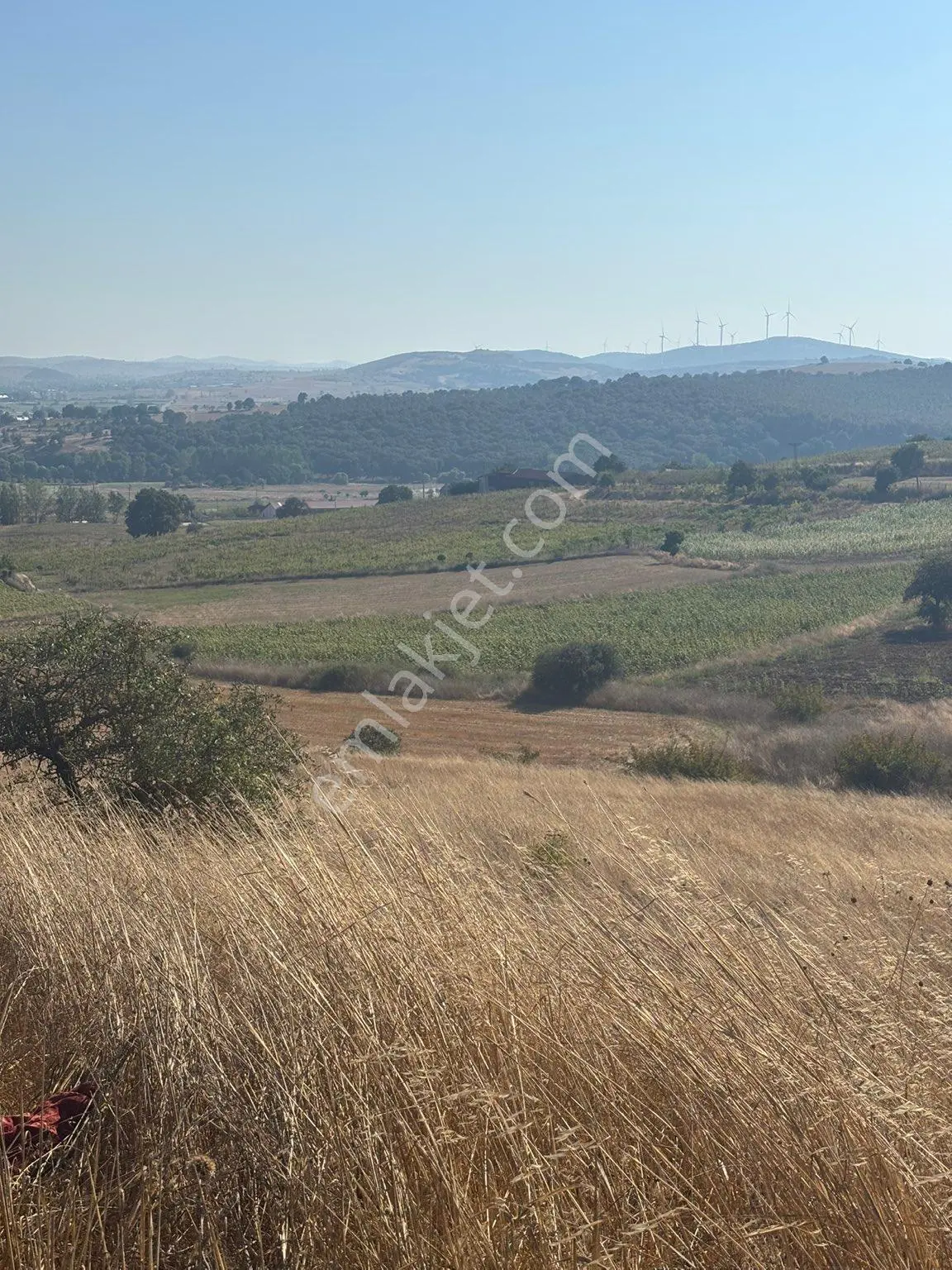 Balcity-karesi Toybelen'de 4.450 M2 Resmi Yola Cephe Fırsat Yatırım — fotoğraf 24