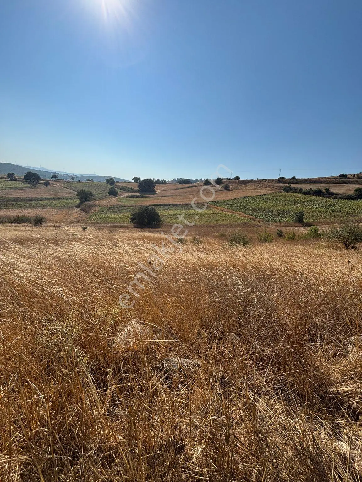 Balcity-karesi Toybelen'de 4.450 M2 Resmi Yola Cephe Fırsat Yatırım — fotoğraf 25