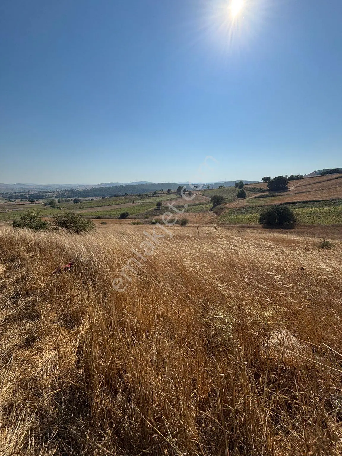 Balcity-karesi Toybelen'de 4.450 M2 Resmi Yola Cephe Fırsat Yatırım — fotoğraf 26