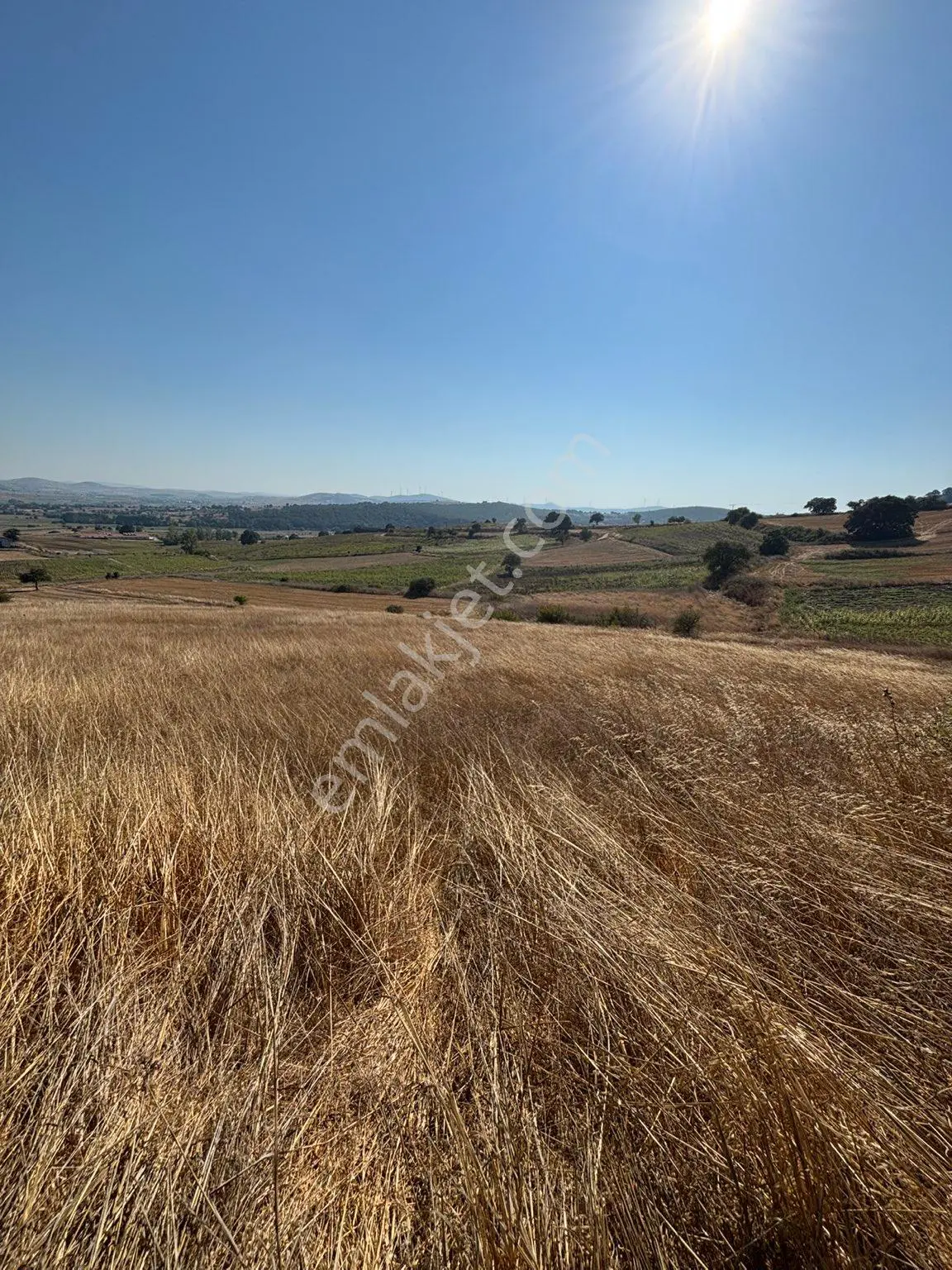 Balcity-karesi Toybelen'de 4.450 M2 Resmi Yola Cephe Fırsat Yatırım — fotoğraf 29