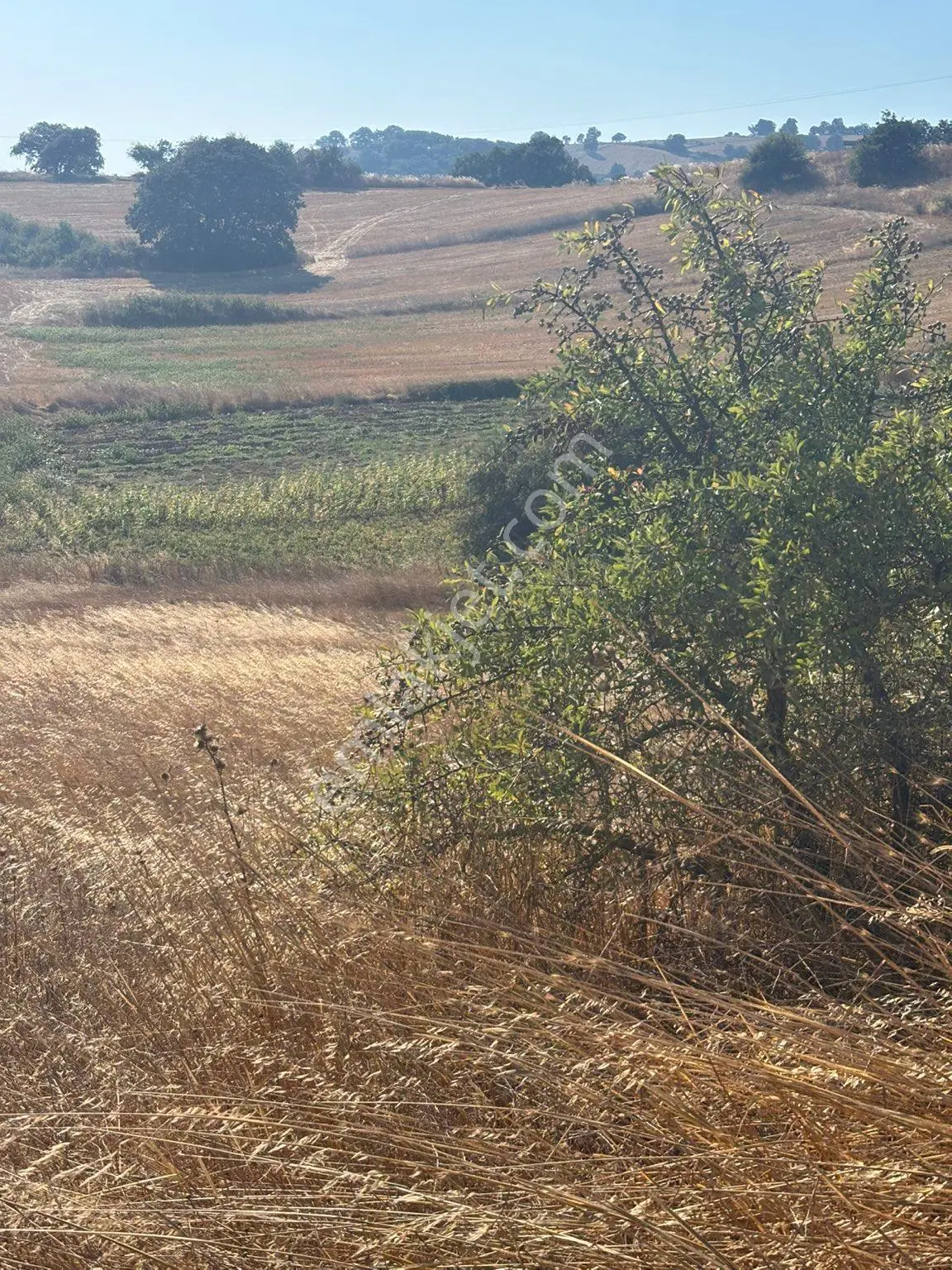 Balcity-karesi Toybelen'de 4.450 M2 Resmi Yola Cephe Fırsat Yatırım — fotoğraf 30