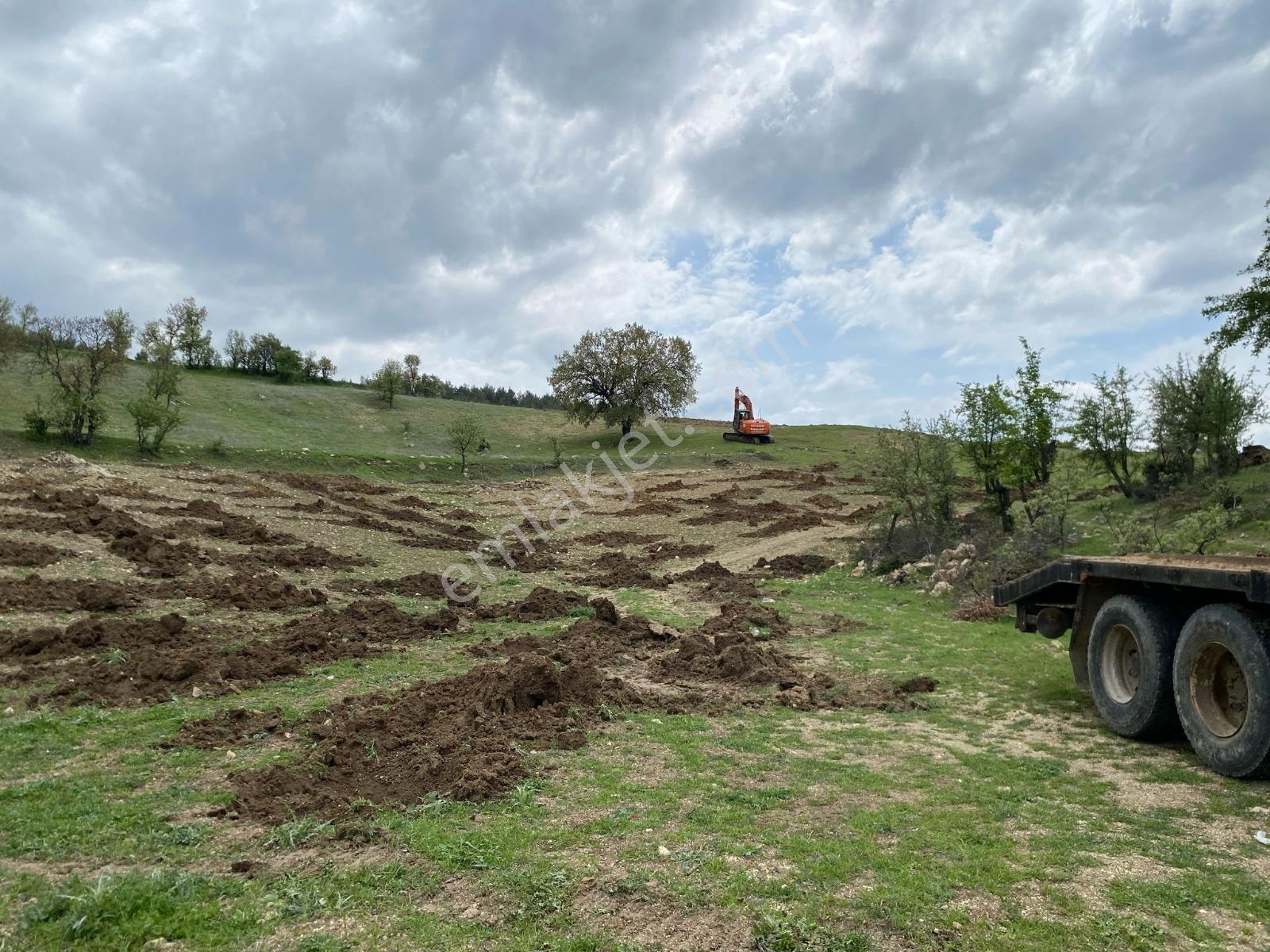 4 Manisa Selendi Yeşilde 6.753 M² Satılık Tarla