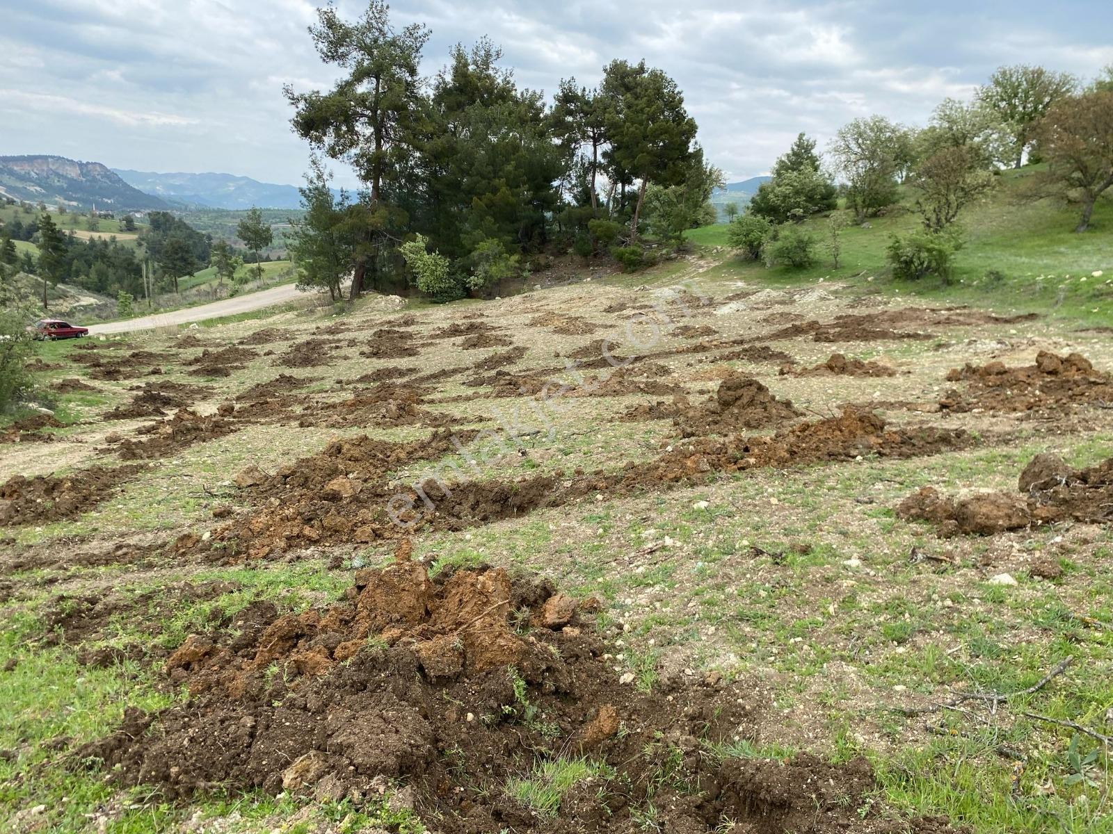4 Manisa Selendi Yeşilde 6.753 M² Satılık Tarla — fotoğraf 3