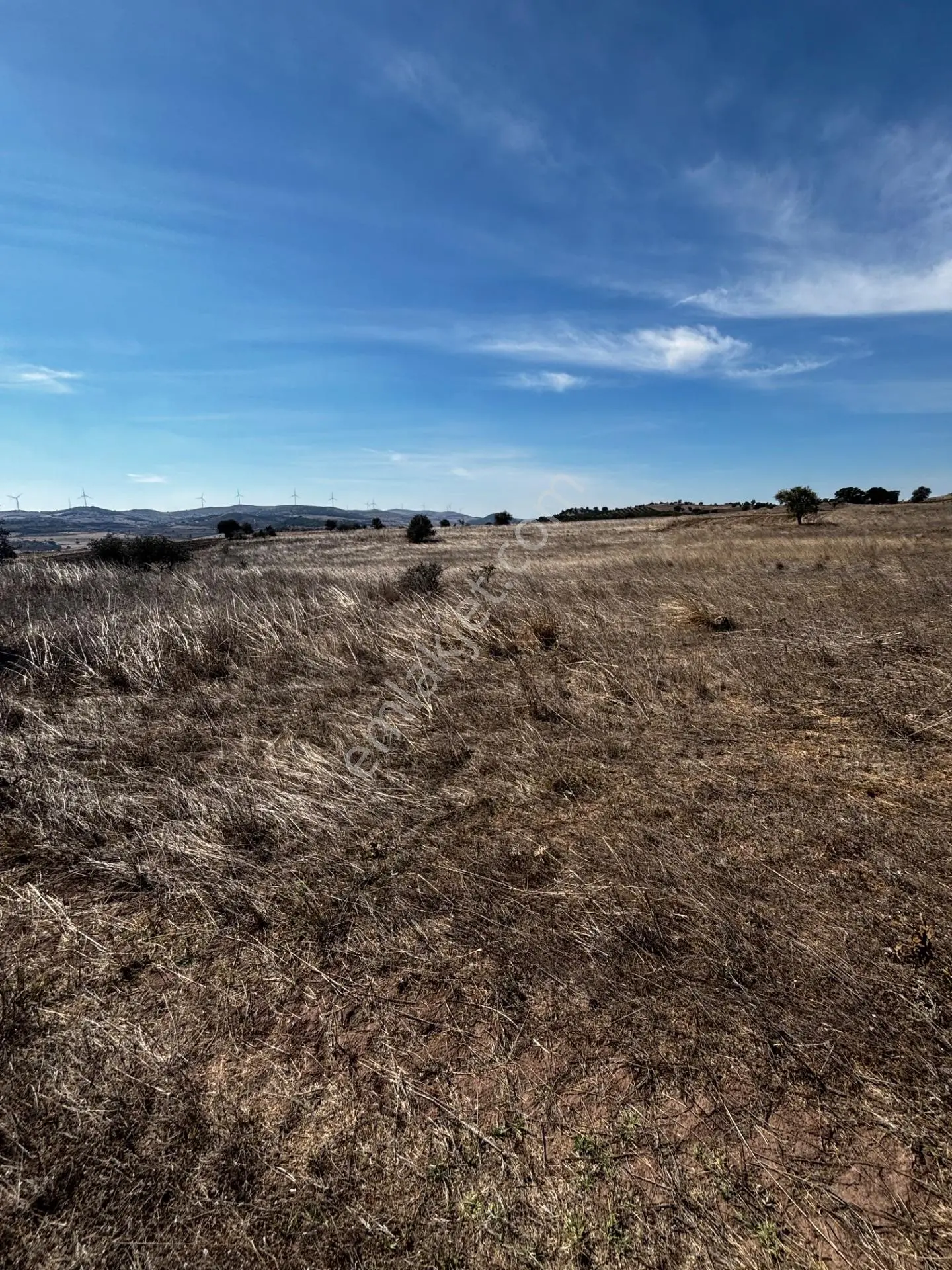 Balcity - Balıkesir Karesi Karakol Mah. Yatırımlık 1.851 M2 Tarla — fotoğraf 9
