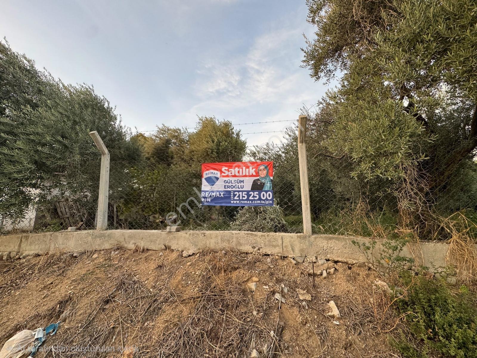 Remax Pin'Den İncirliova Karabağ'Da Satılık Mandalina Bahçesi