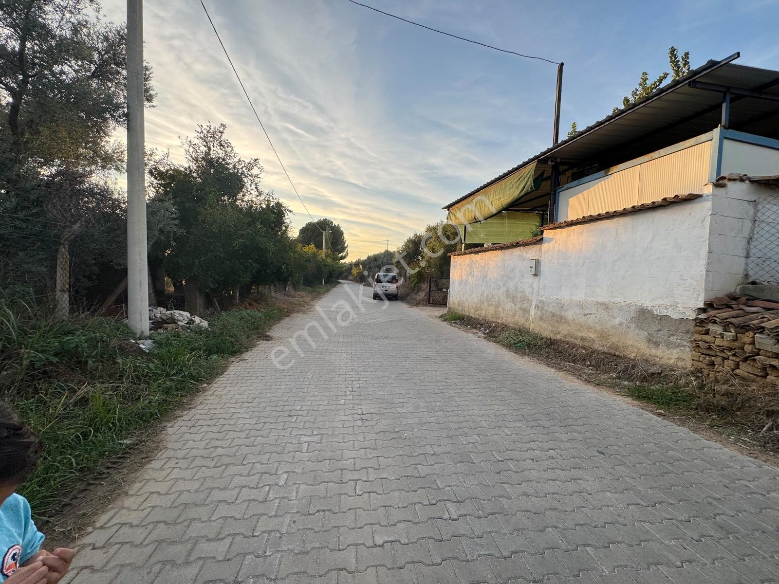 Remax Pin'den İncirliova Karabağ'da Satılık Mandalina Bahçesi — fotoğraf 29