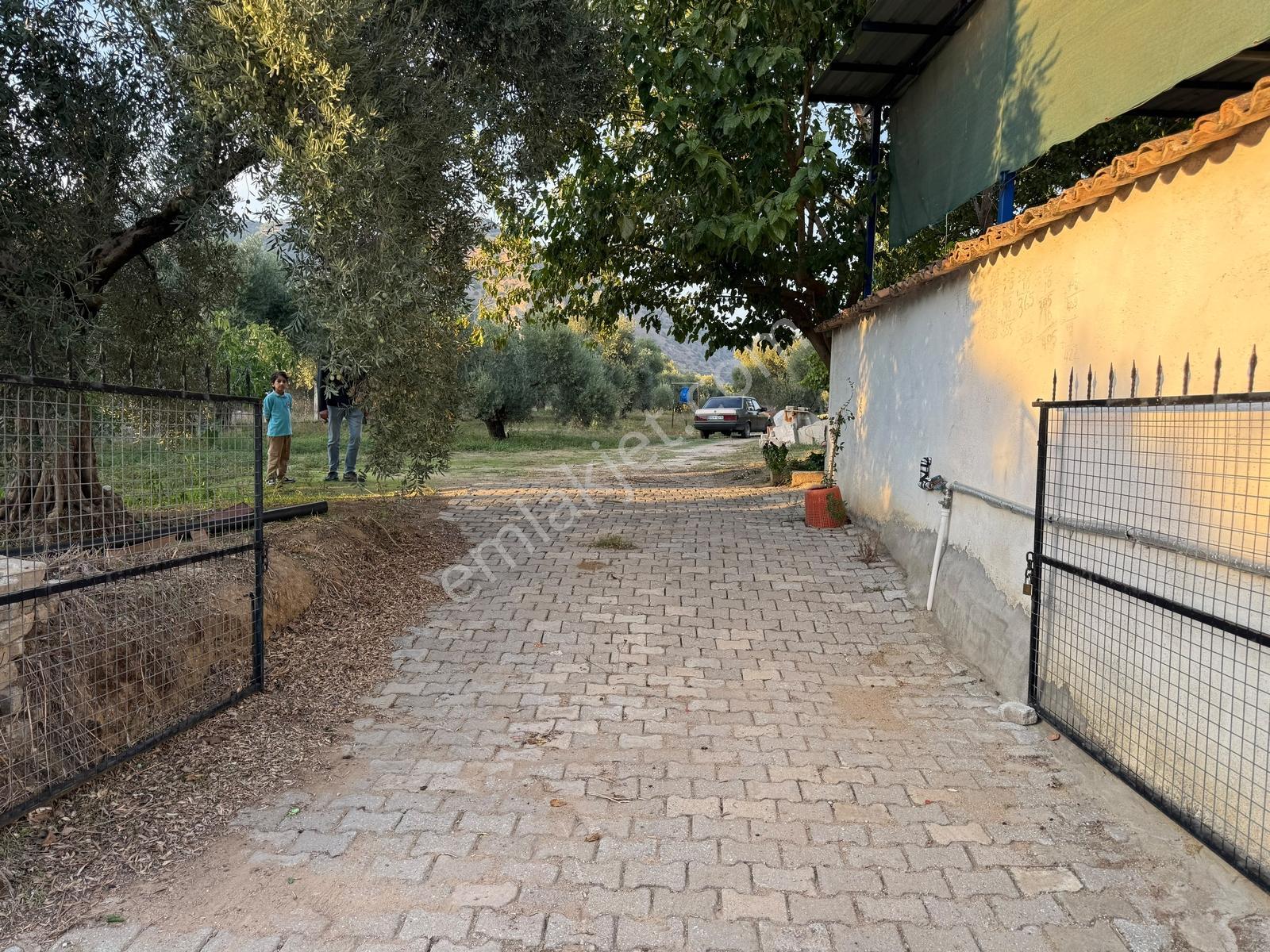 Remax Pin'den İncirliova Karabağ'da Satılık Mandalina Bahçesi — fotoğraf 32