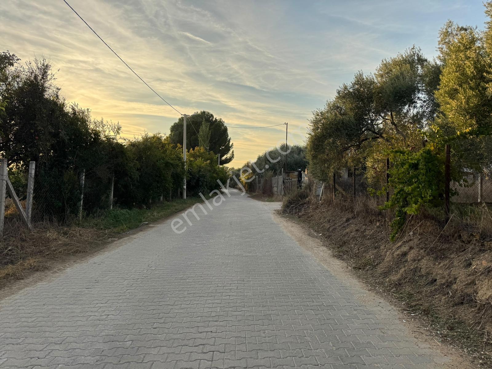 Remax Pin'den İncirliova Karabağ'da Satılık Mandalina Bahçesi — fotoğraf 33