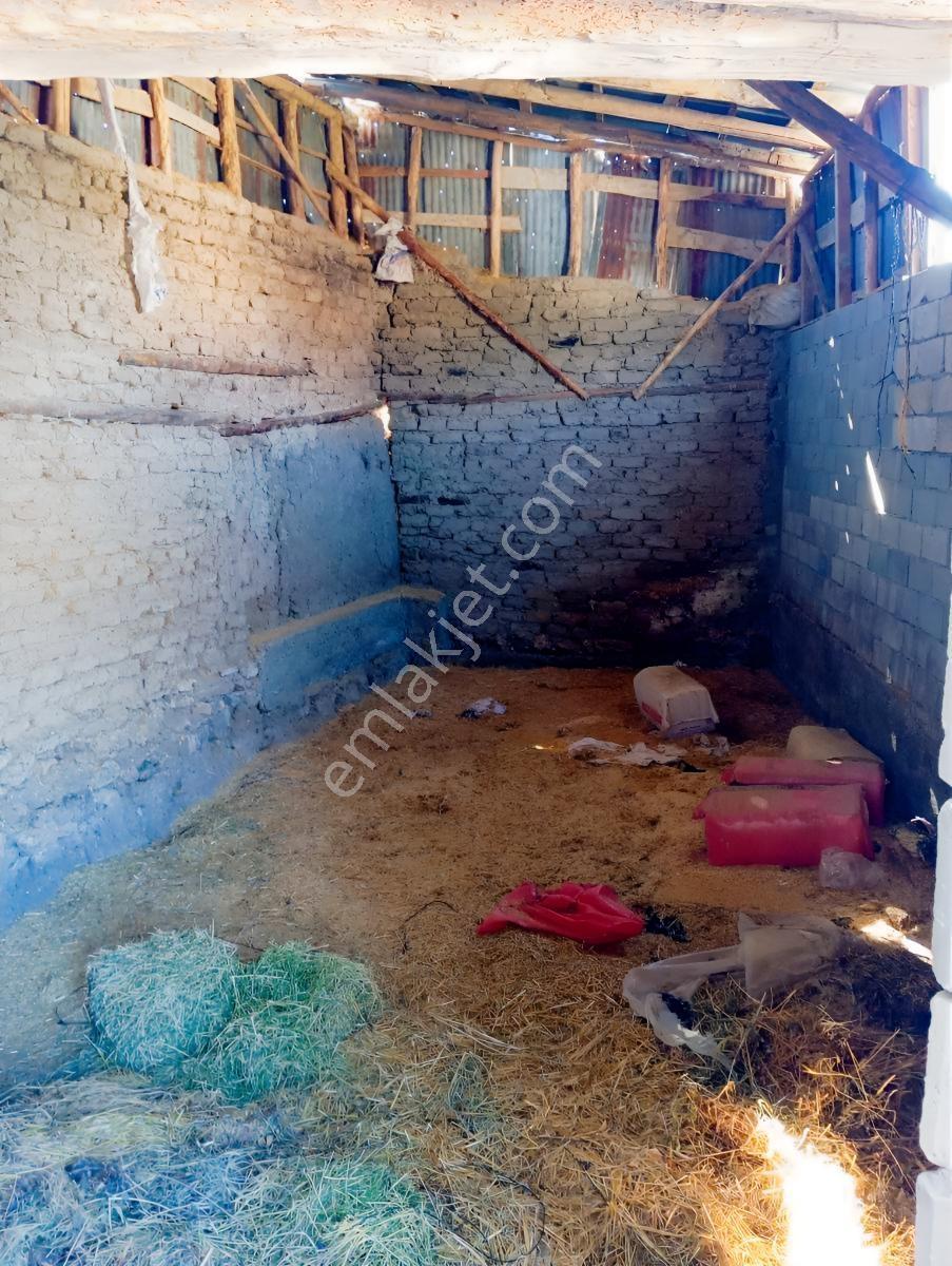 Beyaz Emlak Tan Çukurkuyu Da 1.814m² İçinde 2 Ev Ve 2 Ahırı Olan — fotoğraf 5