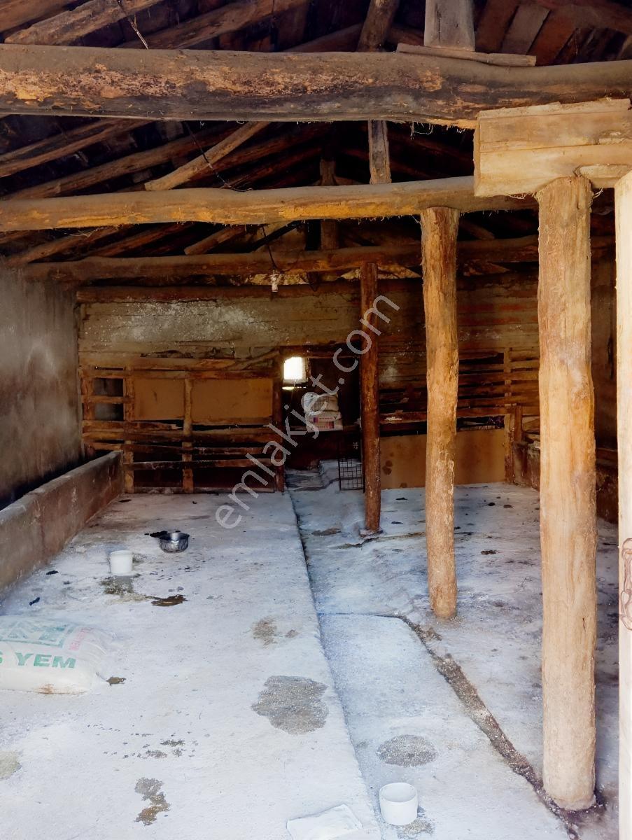 Beyaz Emlak Tan Çukurkuyu Da 1.814m² İçinde 2 Ev Ve 2 Ahırı Olan — fotoğraf 6