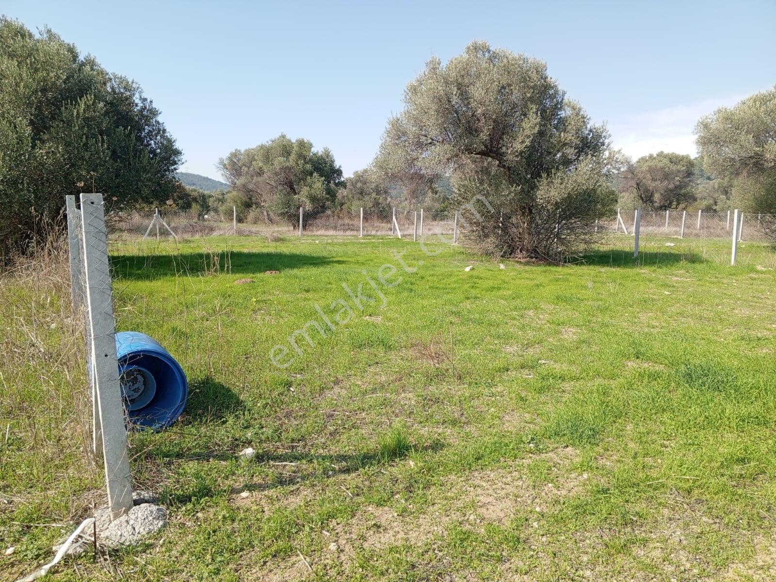 16 Urla Bademler De Satılık Arsa — fotoğraf 3