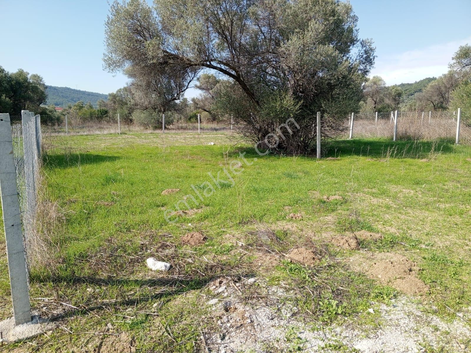 16 Urla Bademler De Satılık Arsa — fotoğraf 4