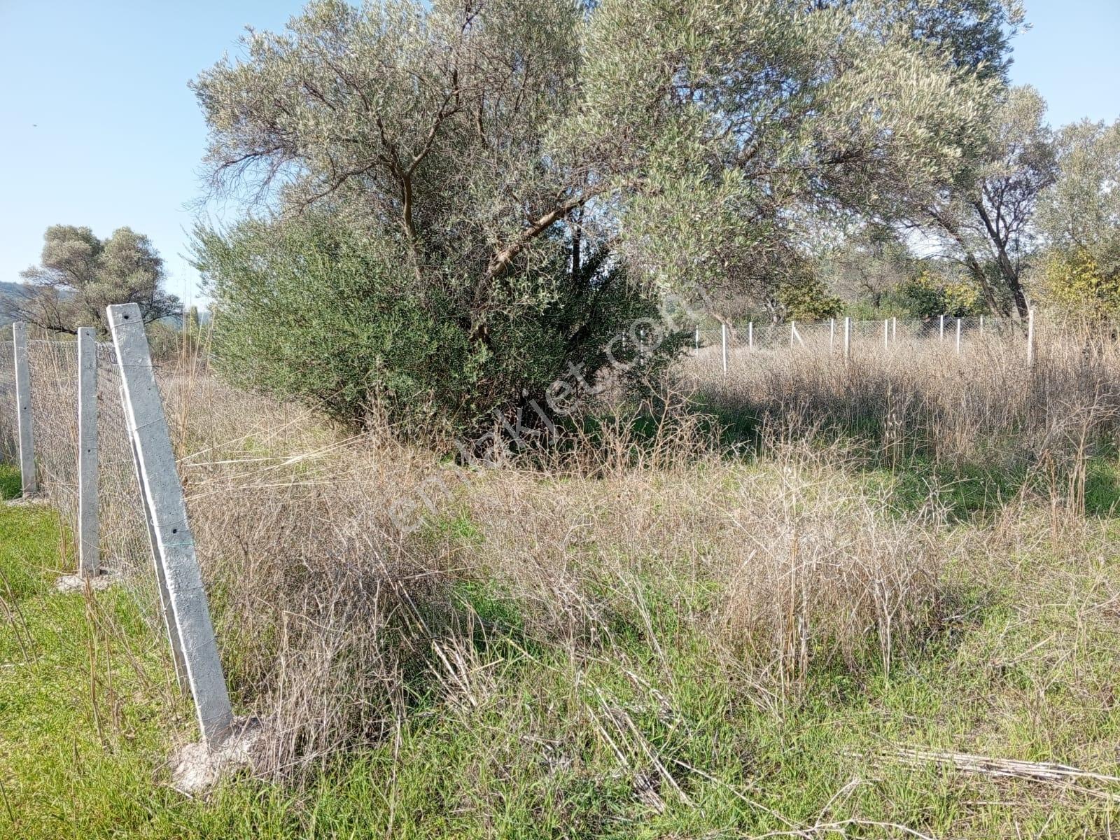 16 Urla Bademler De Satılık Arsa — fotoğraf 5