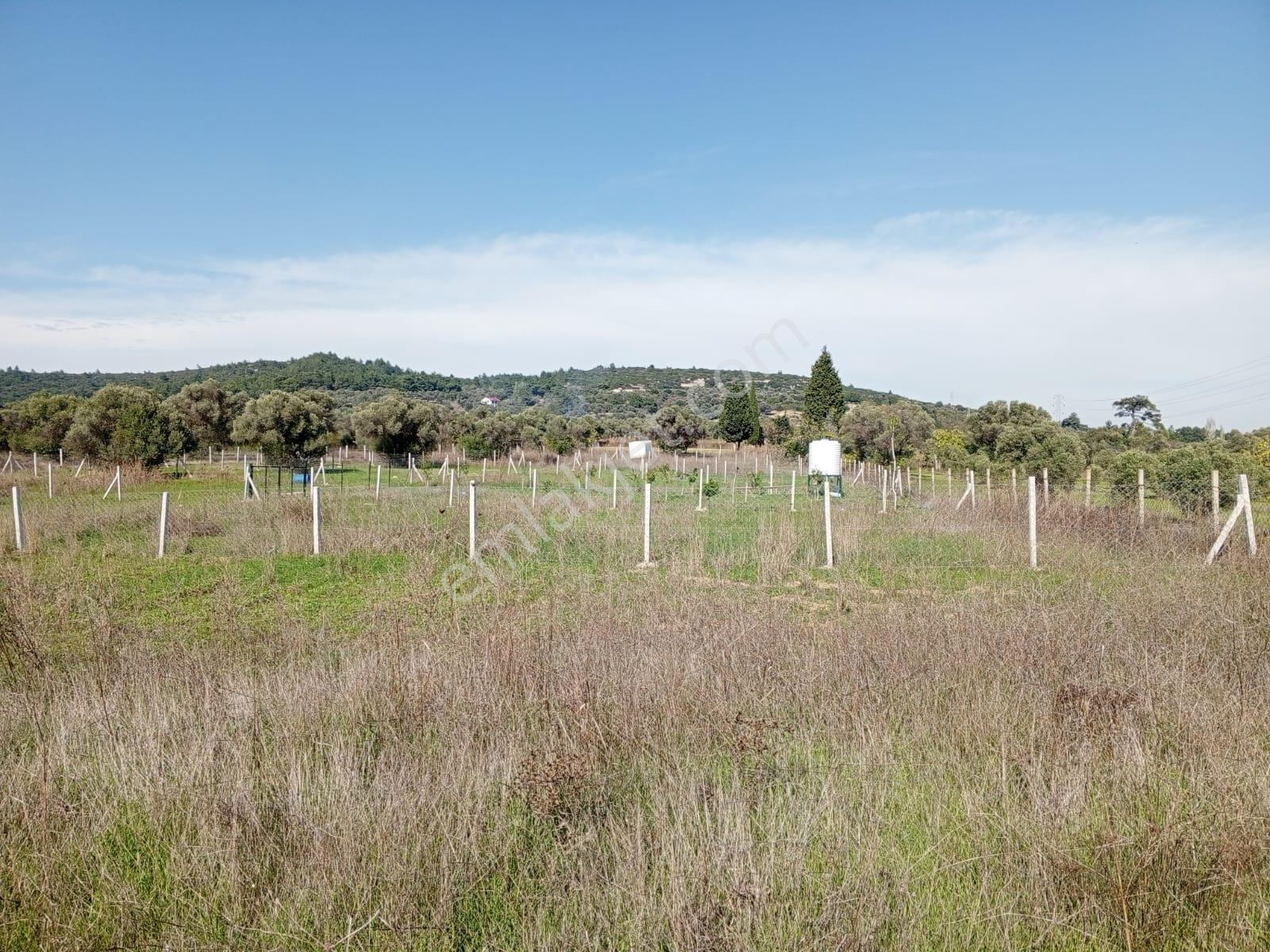 16 Urla Bademler De Satılık Arsa — fotoğraf 6
