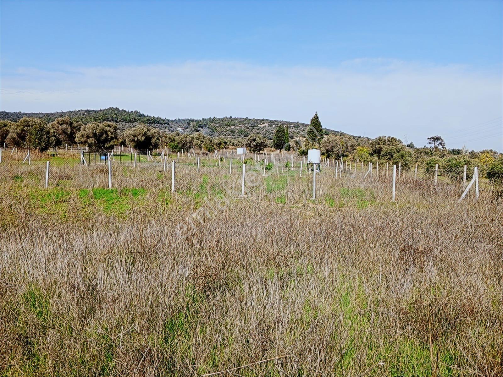16 Urla Bademler De Satılık Arsa — fotoğraf 12