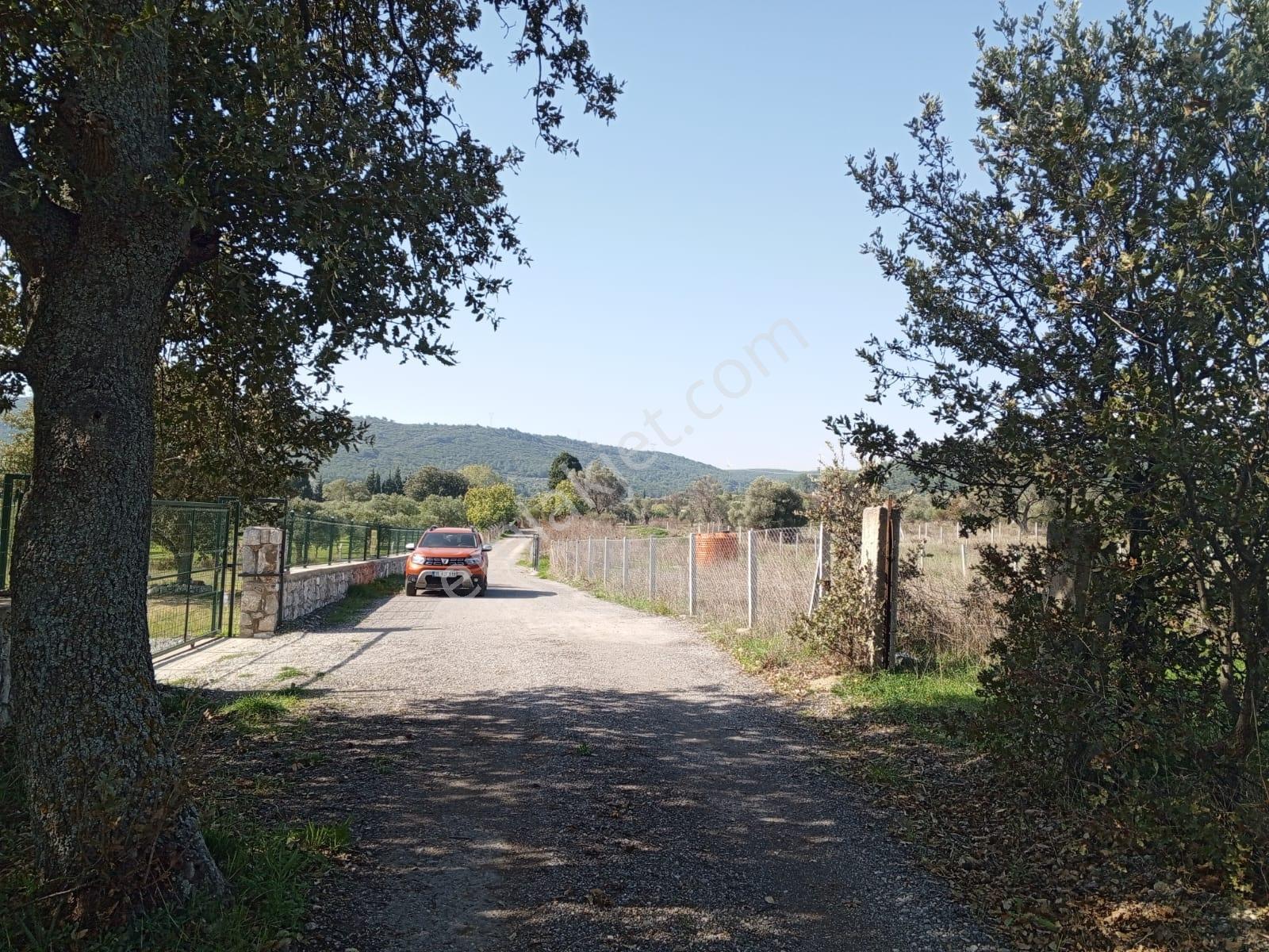 16 Urla Bademler De Satılık Arsa — fotoğraf 13