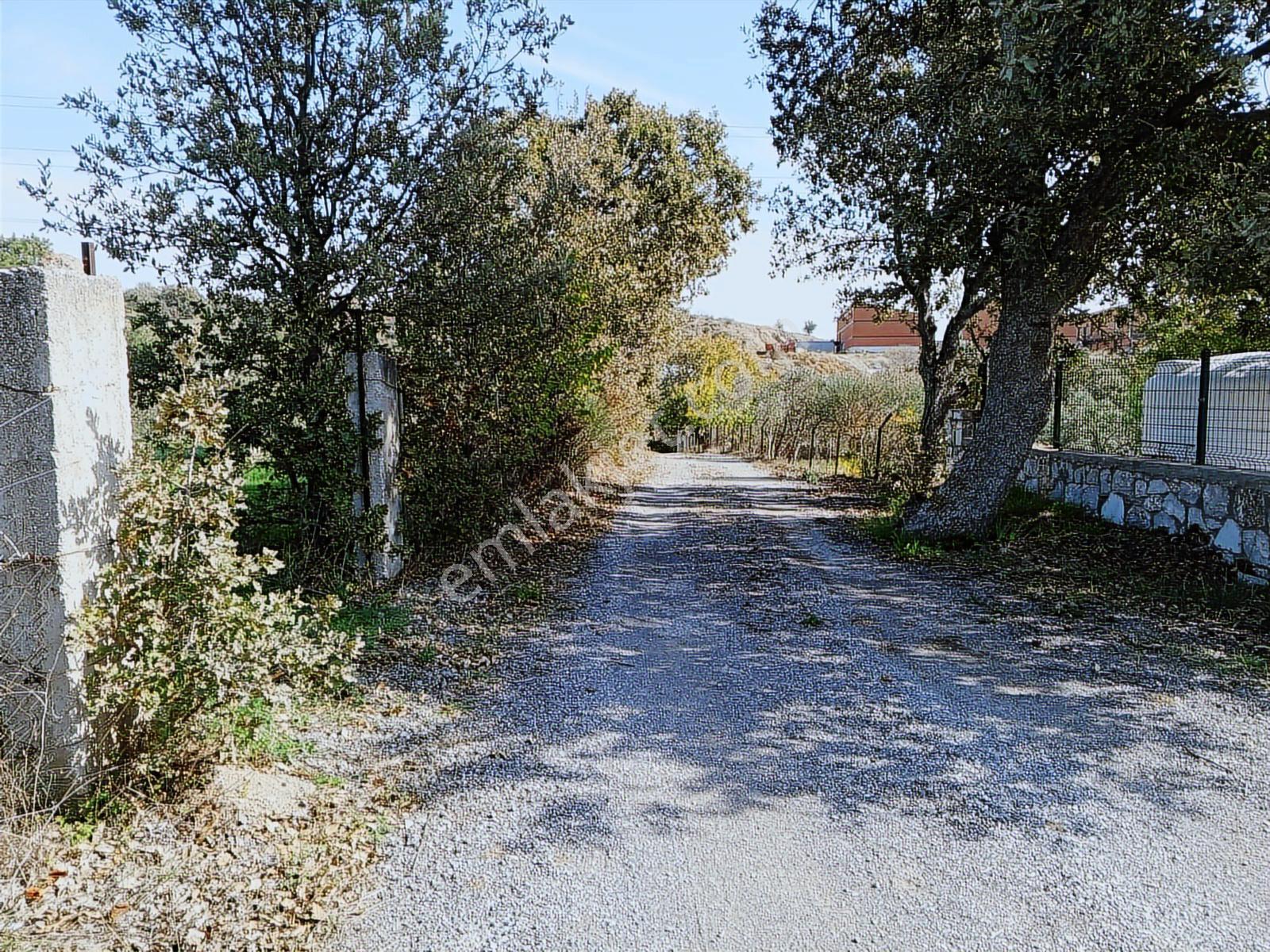 16 Urla Bademler De Satılık Arsa — fotoğraf 15