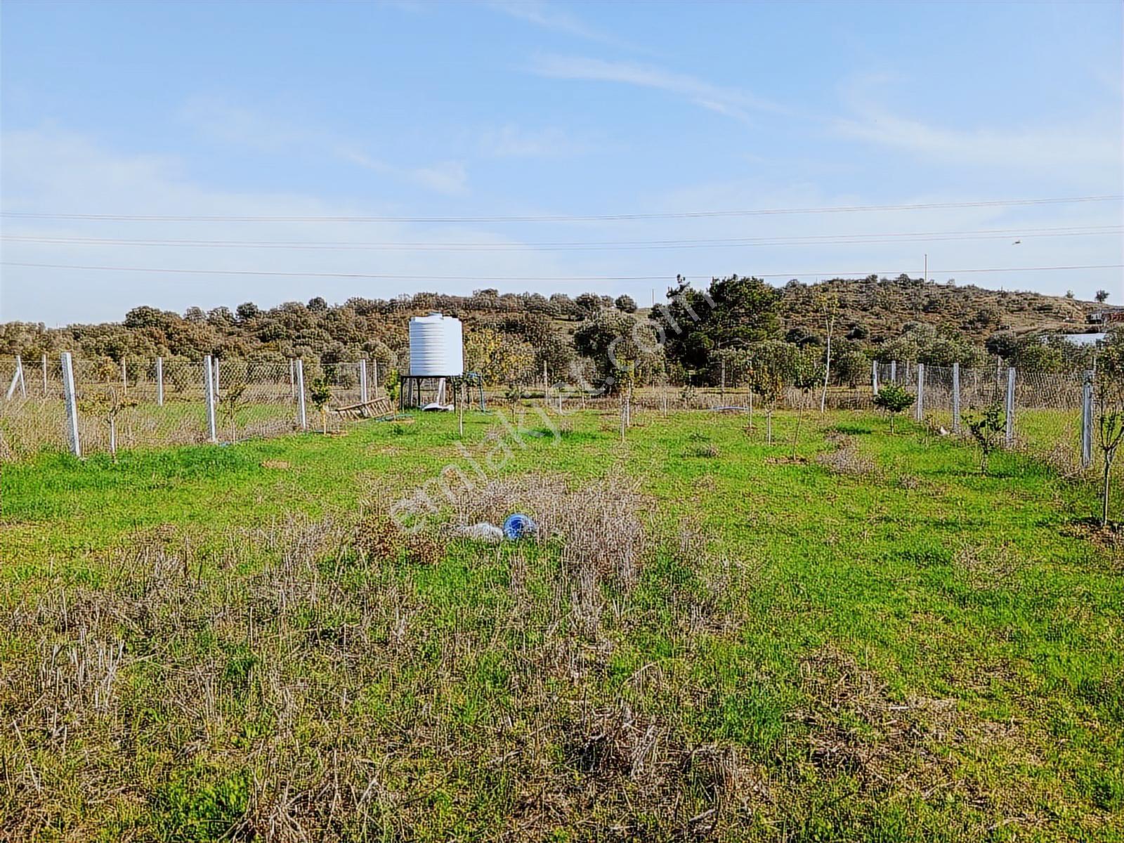 16 Urla Bademler De Satılık Arsa — fotoğraf 16