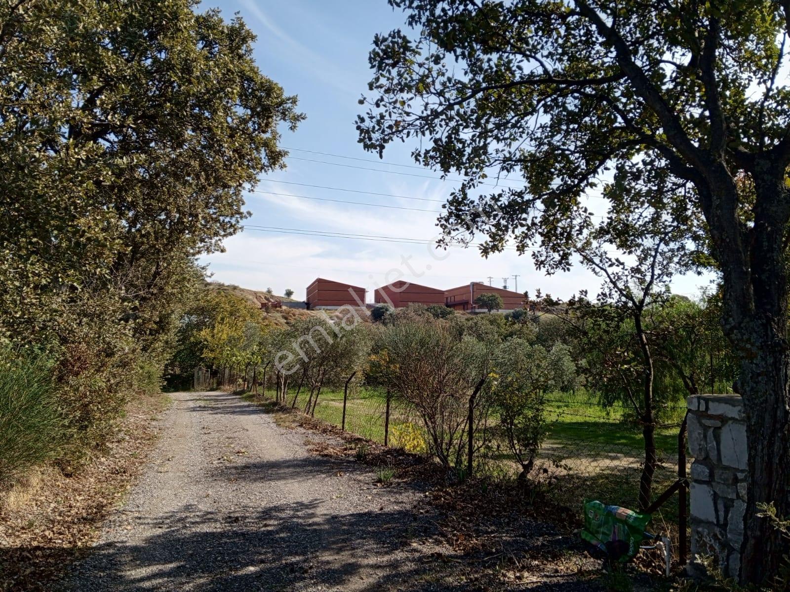 16 Urla Bademler De Satılık Arsa — fotoğraf 18