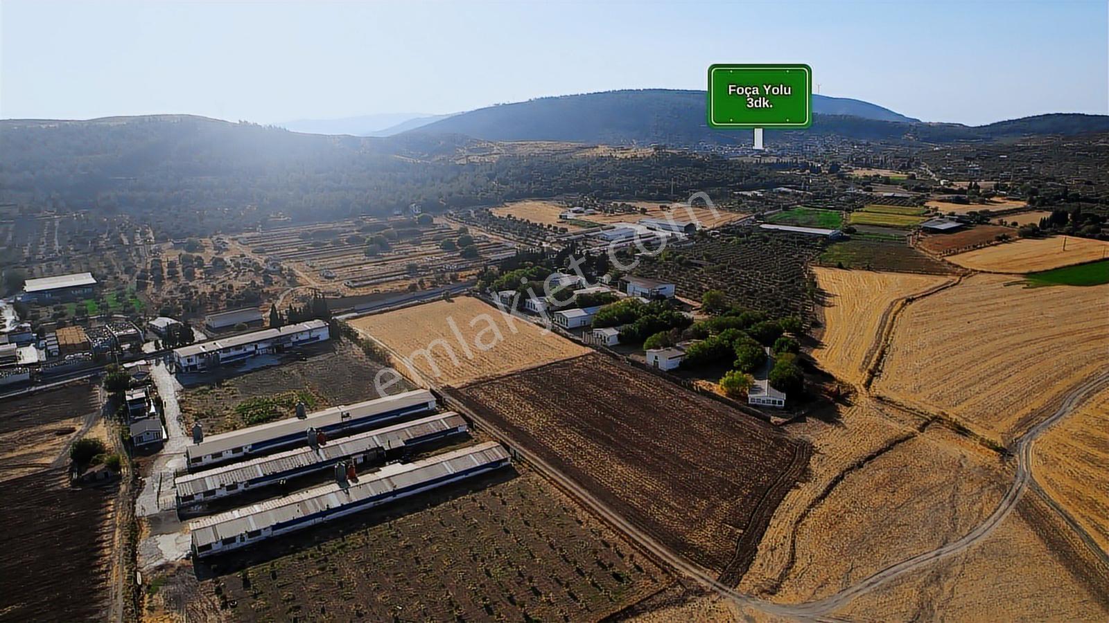 15 Remax Best'ten Ilıpınar'da Yola Cepheli Tarla — fotoğraf 2