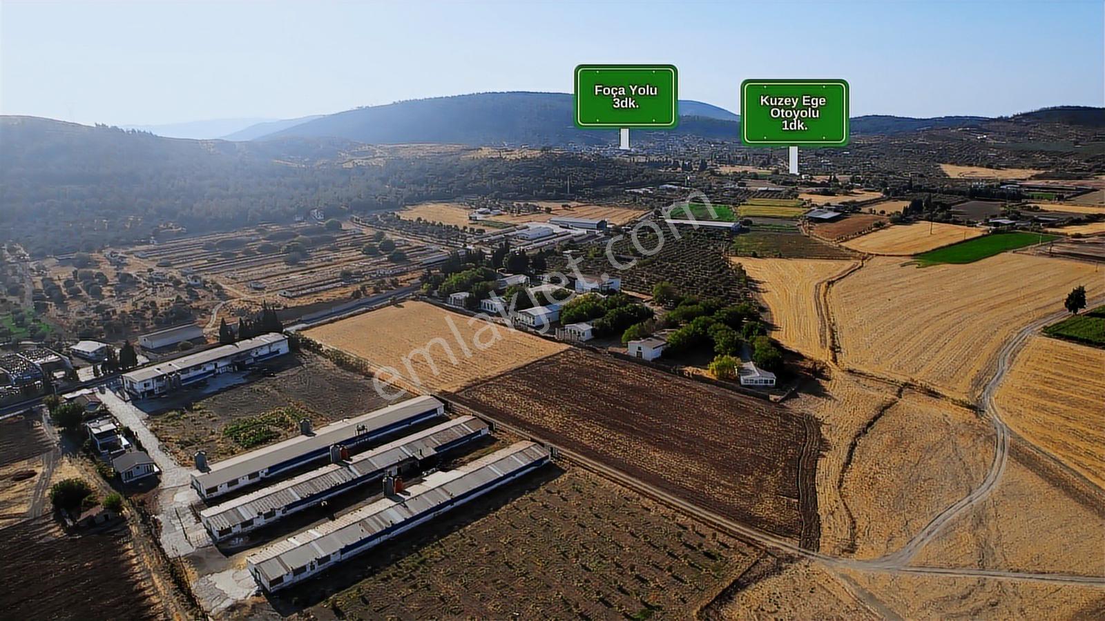 15 Remax Best'ten Ilıpınar'da Yola Cepheli Tarla — fotoğraf 3