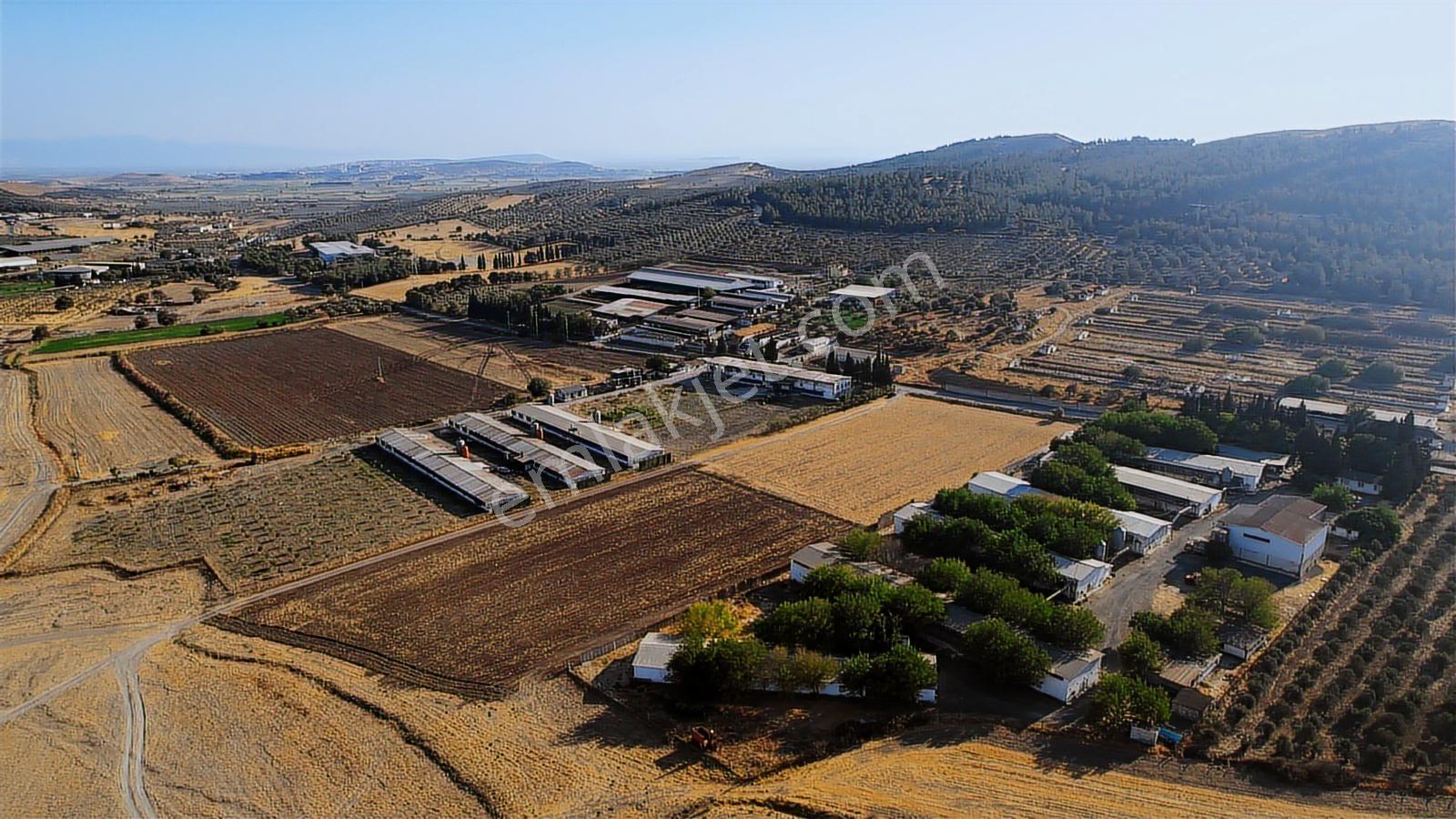 15 Remax Best'ten Ilıpınar'da Yola Cepheli Tarla — fotoğraf 6