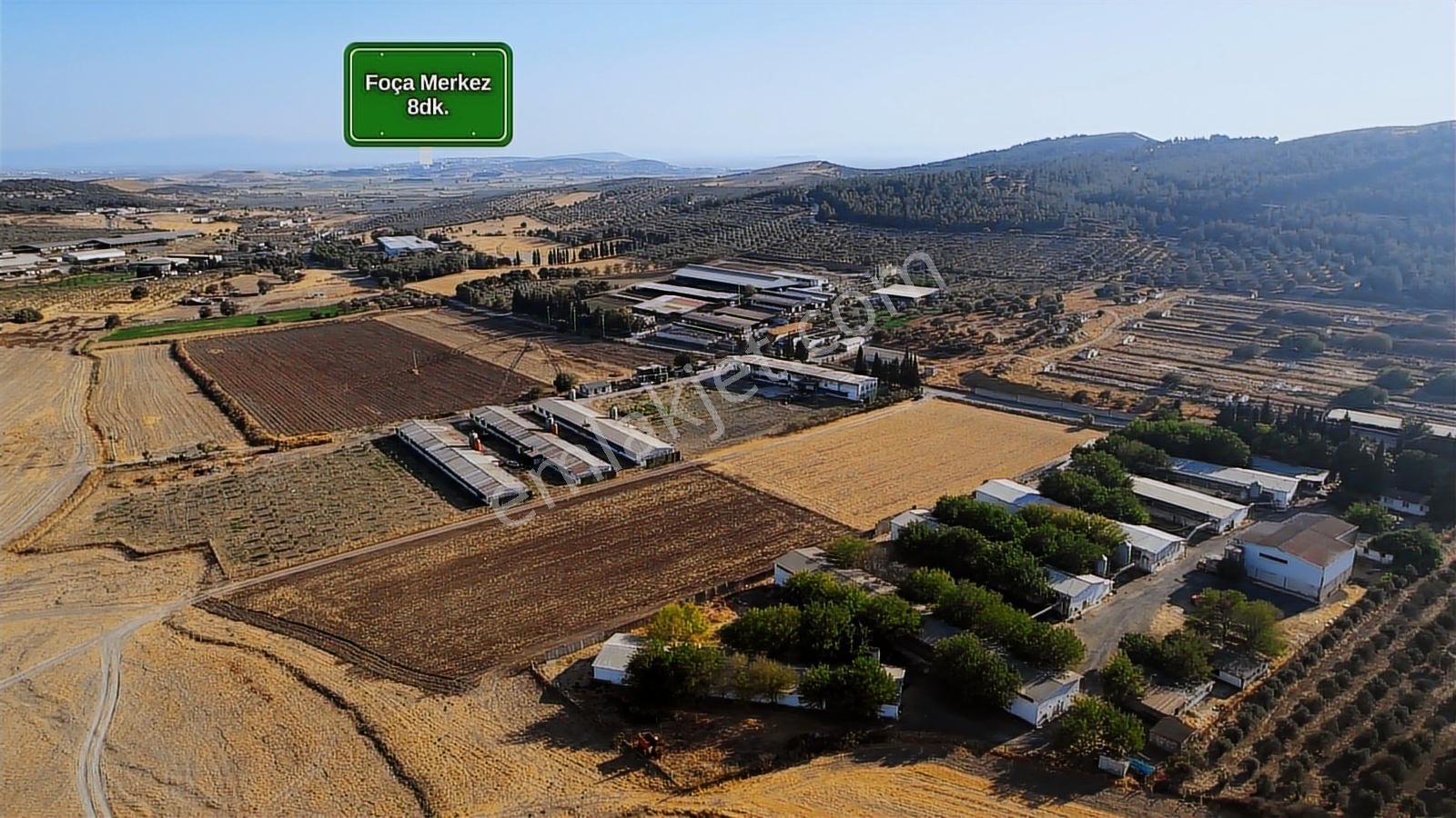 15 Remax Best'ten Ilıpınar'da Yola Cepheli Tarla — fotoğraf 7