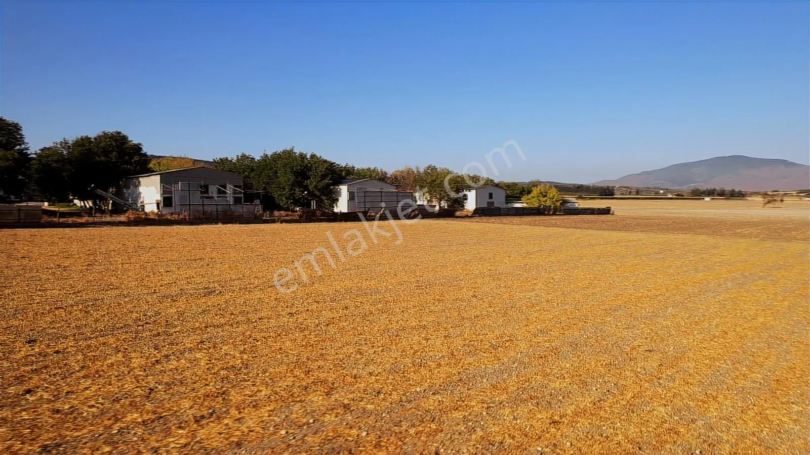 15 Remax Best'ten Ilıpınar'da Yola Cepheli Tarla — fotoğraf 12