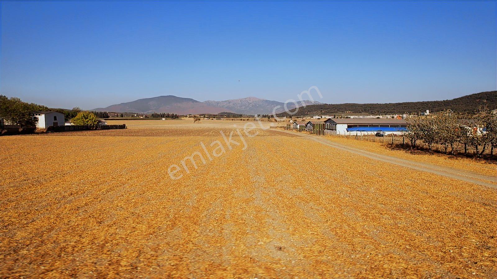15 Remax Best'ten Ilıpınar'da Yola Cepheli Tarla — fotoğraf 13