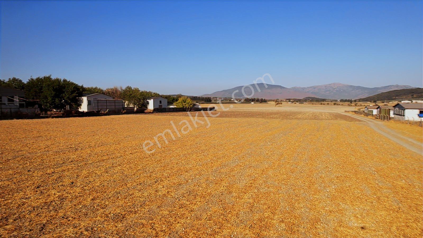 15 Remax Best'ten Ilıpınar'da Yola Cepheli Tarla — fotoğraf 20
