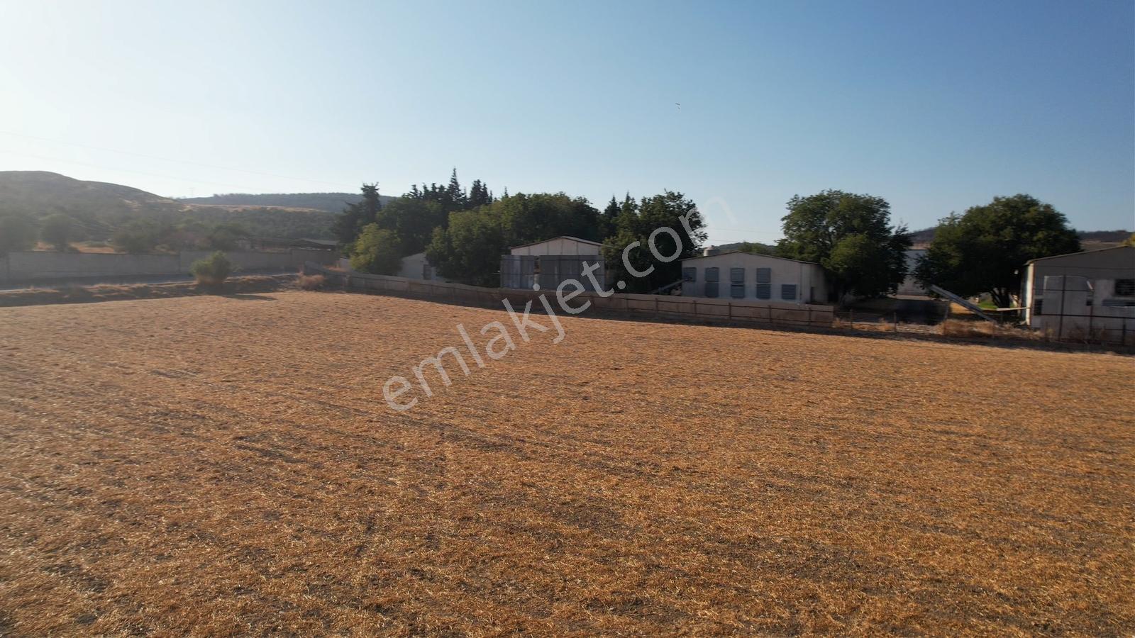 15 Remax Best'ten Ilıpınar'da Yola Cepheli Tarla — fotoğraf 21