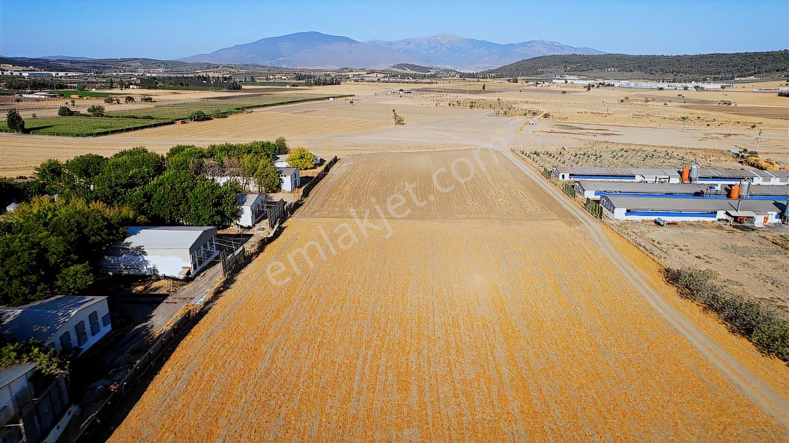 15 Remax Best'ten Ilıpınar'da Yola Cepheli Tarla — fotoğraf 23