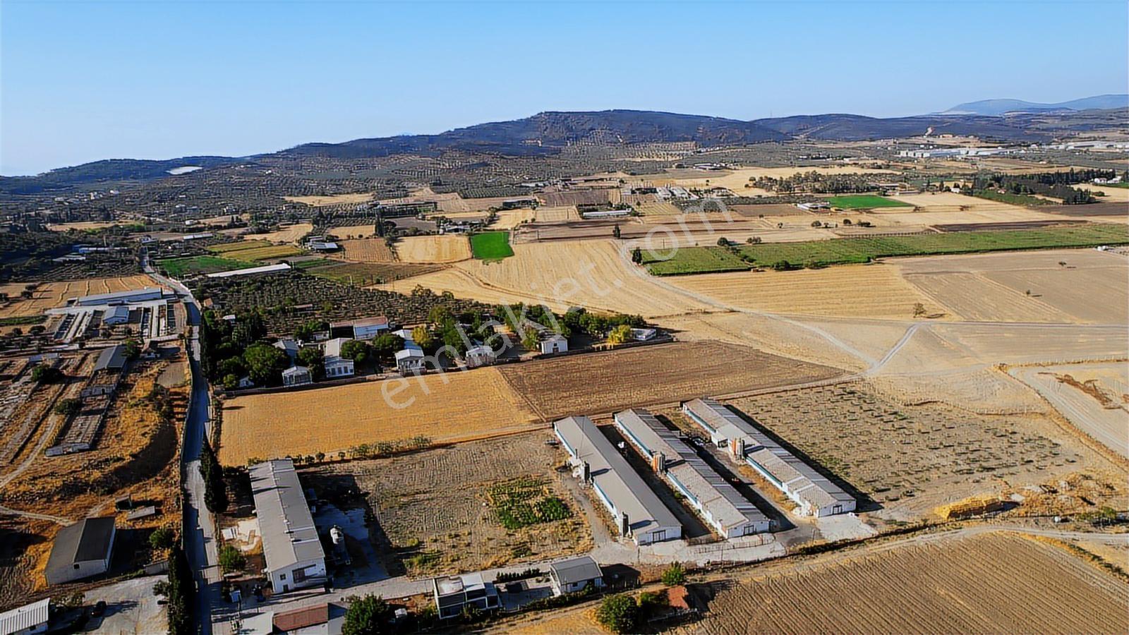 15 Remax Best'ten Ilıpınar'da Yola Cepheli Tarla — fotoğraf 24
