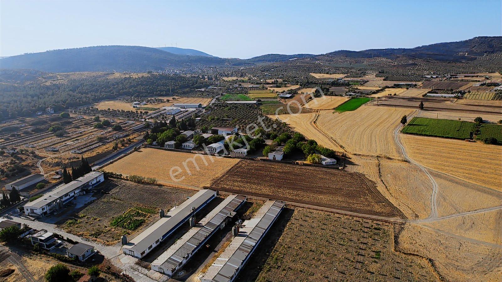 15 Remax Best'ten Ilıpınar'da Yola Cepheli Tarla — fotoğraf 25