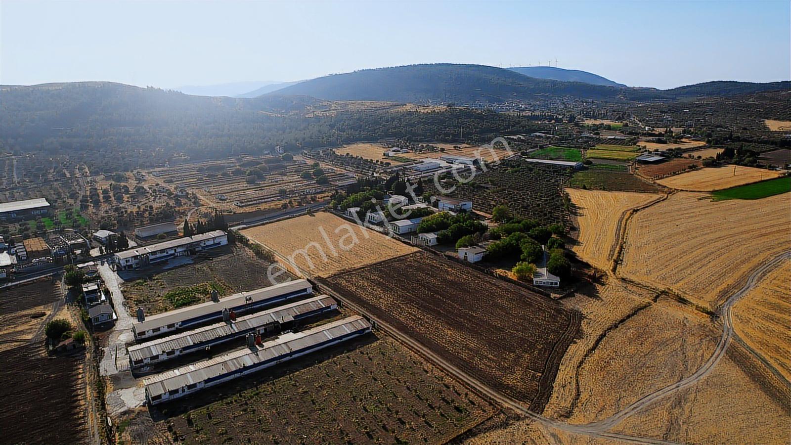 15 Remax Best'ten Ilıpınar'da Yola Cepheli Tarla — fotoğraf 26