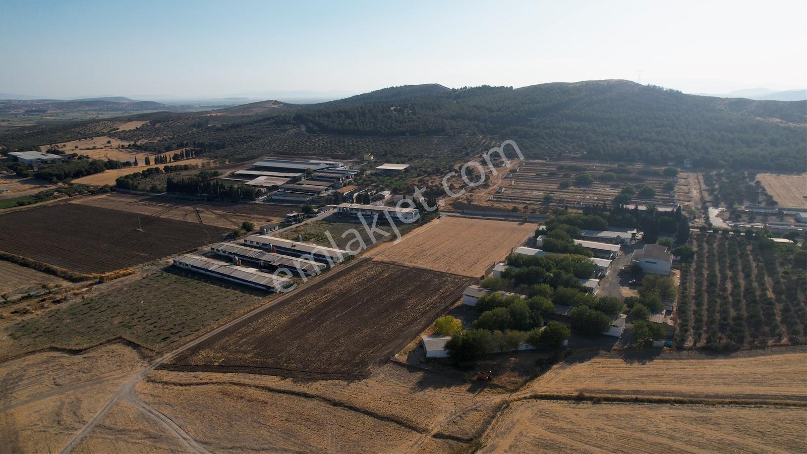 15 Remax Best'ten Ilıpınar'da Yola Cepheli Tarla — fotoğraf 28