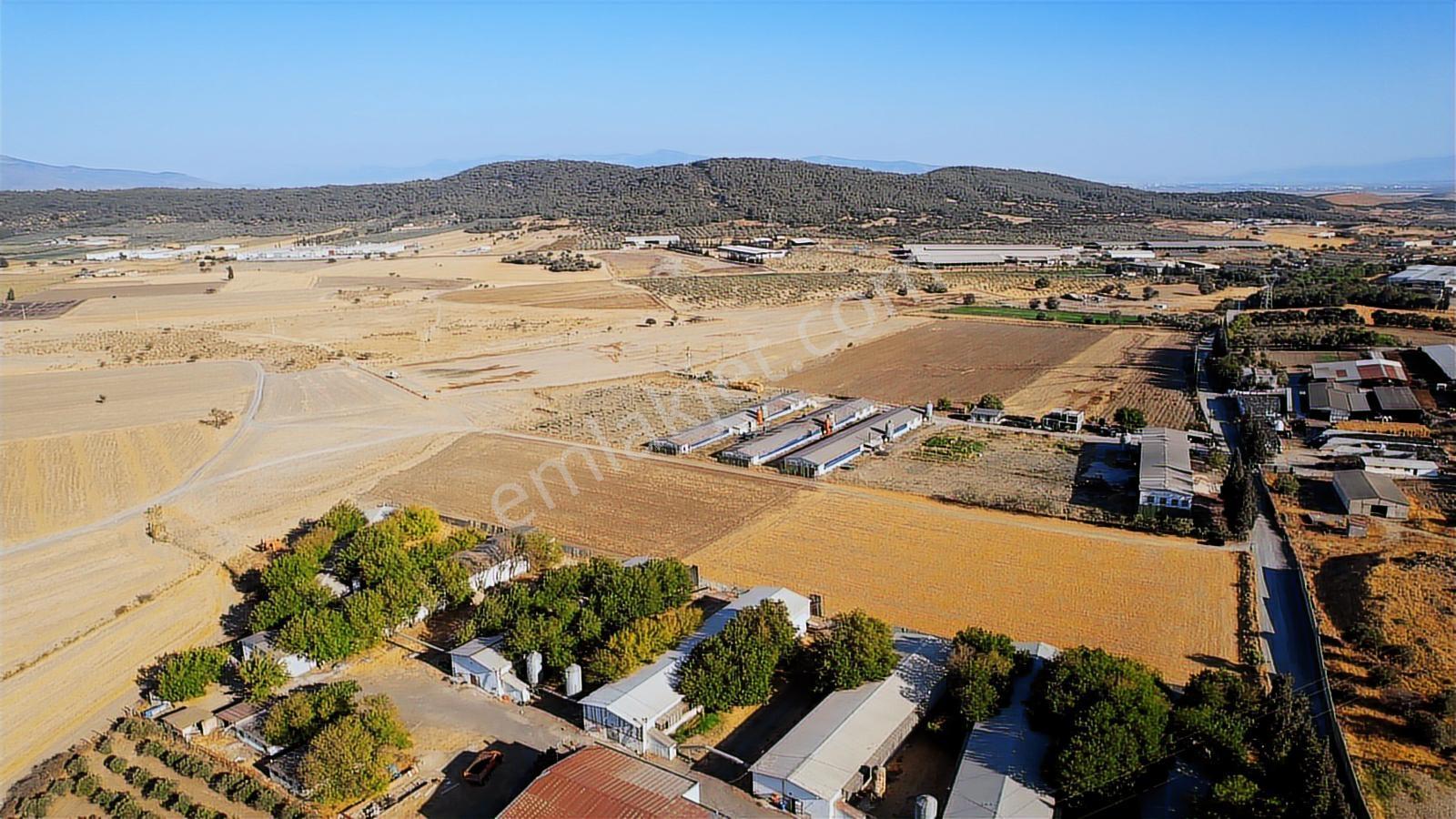 15 Remax Best'ten Ilıpınar'da Yola Cepheli Tarla — fotoğraf 29